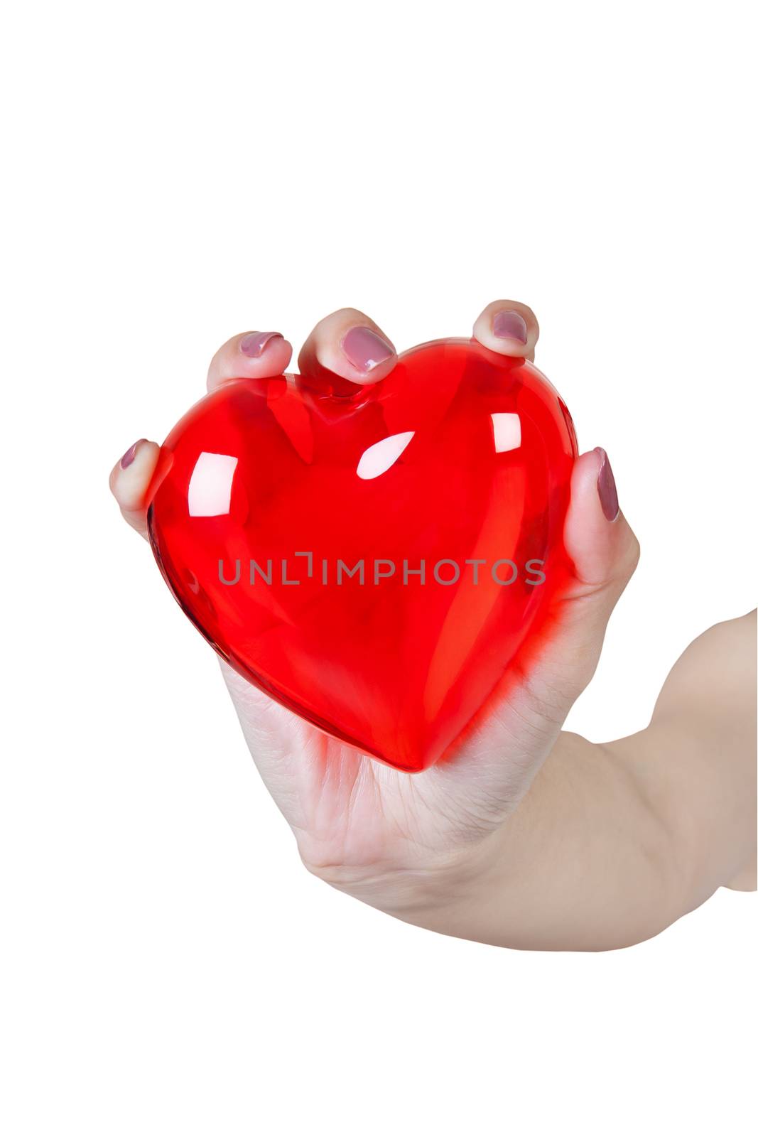 Heart in the hands isolated on white background by FrameAngel