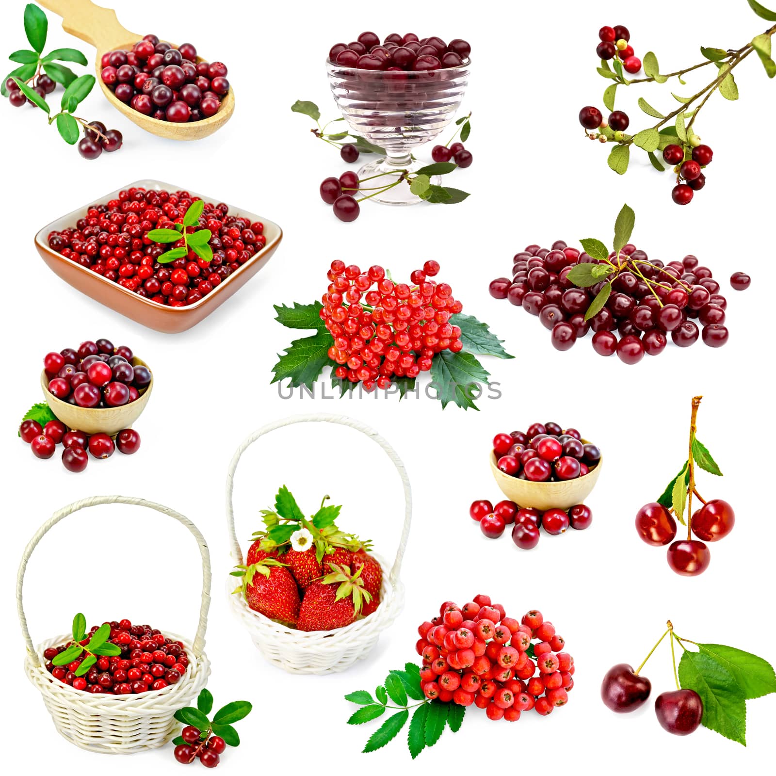 A set of photos of strawberries, cranberries, cranberry, cherry, mountain ash, viburnum isolated on a white background