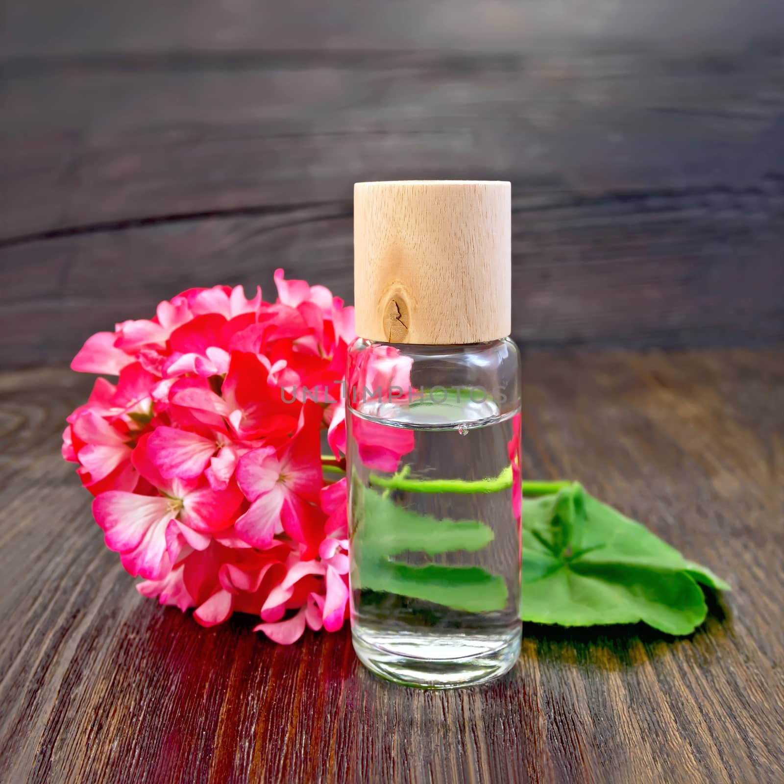 One vial of oil with green leaf and flower of pink geranium on a wooden boards background
