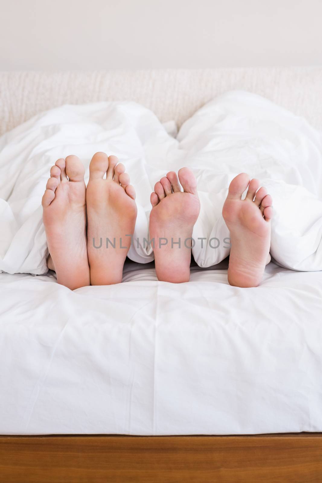  Bare feet of gay couple out from the blanket in bed