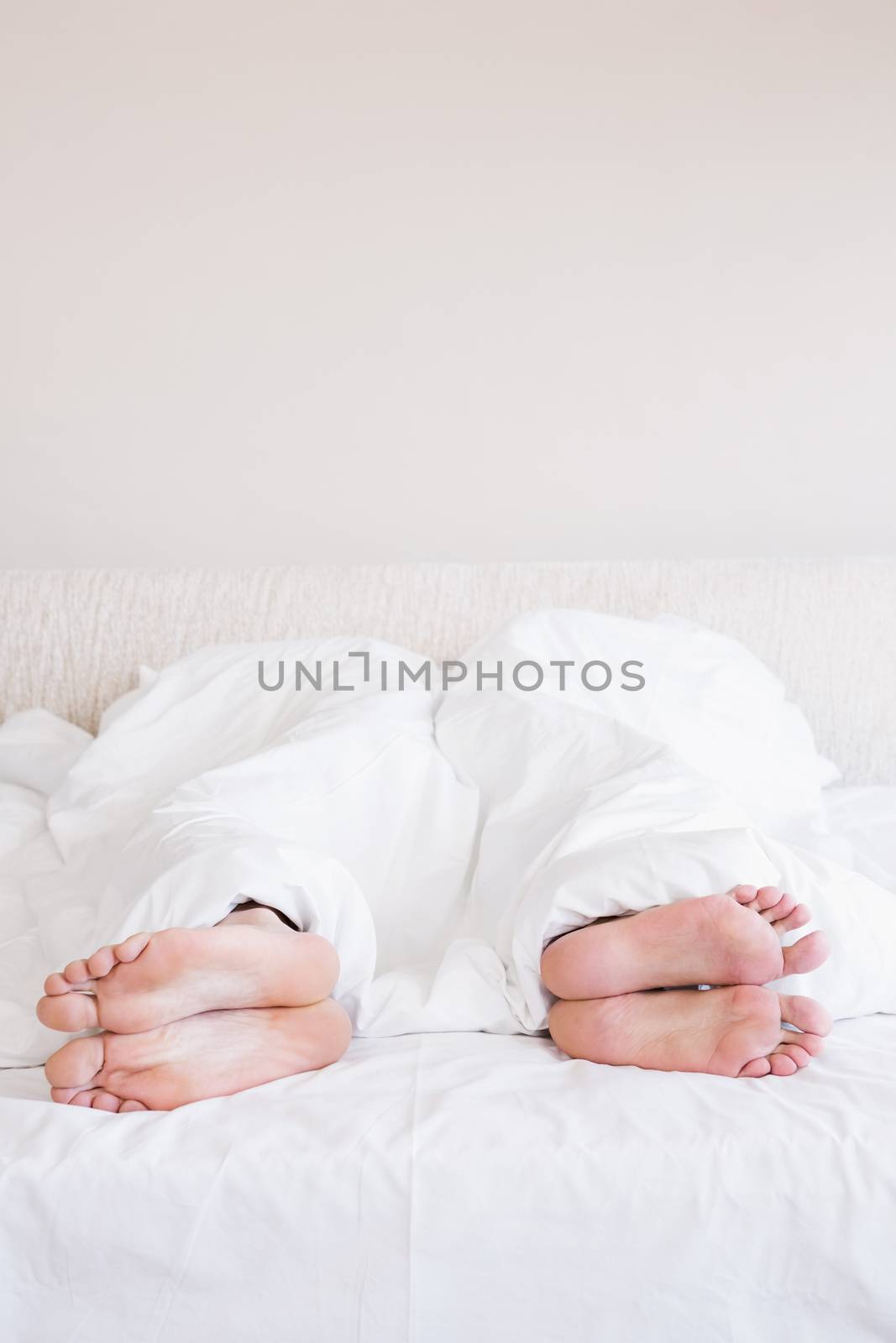  Bare feet of gay couple out from the blanket in bed