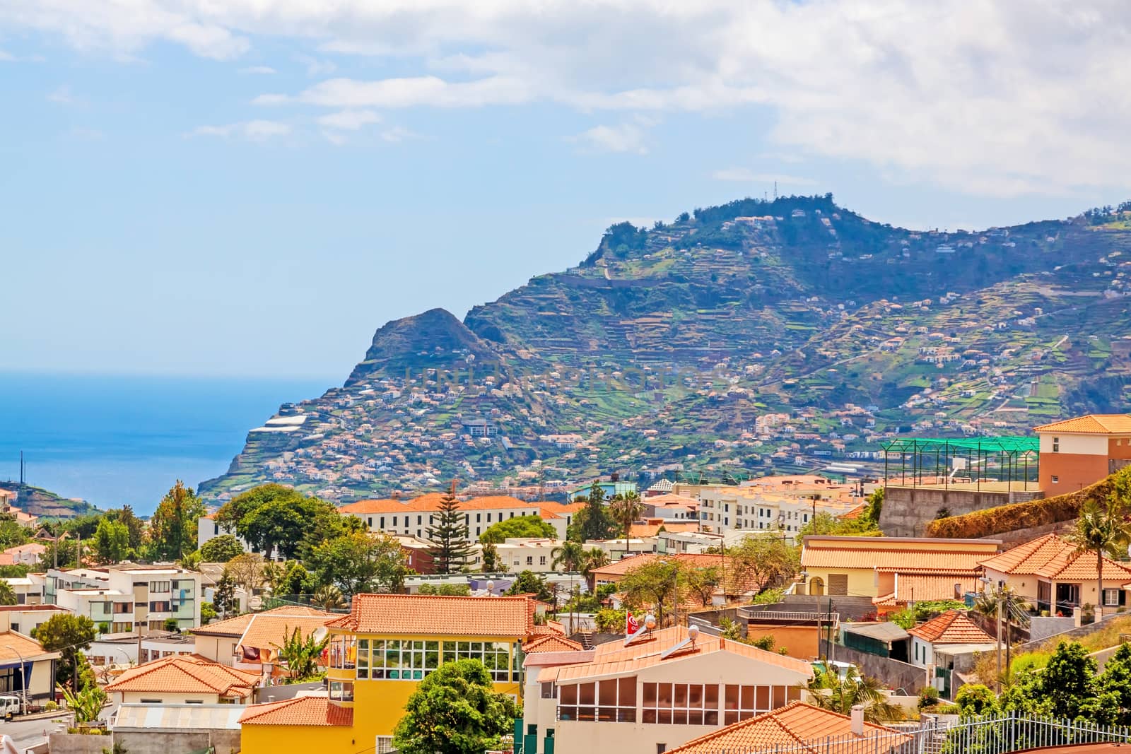 Funchal, Madeira - June 7, 2013: View over residential houses of Funchal, the capital city of Madeira - view from Pico dos Barcelo.