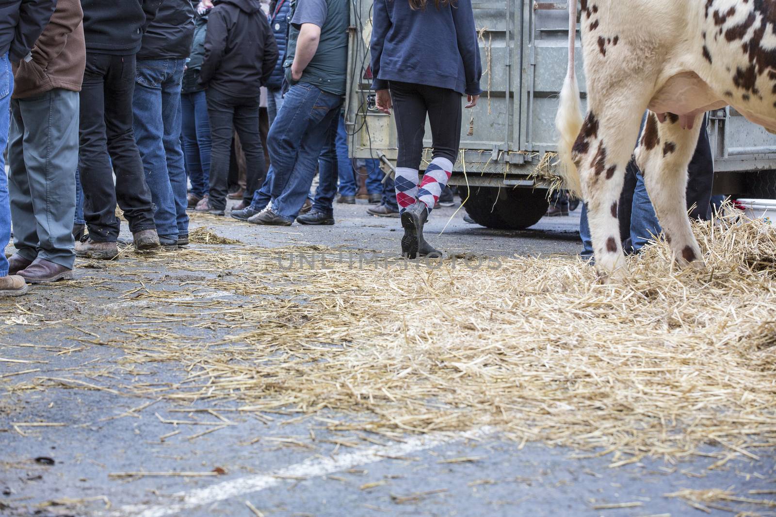 Farmers rally, France, Europe by CatherineL-Prod