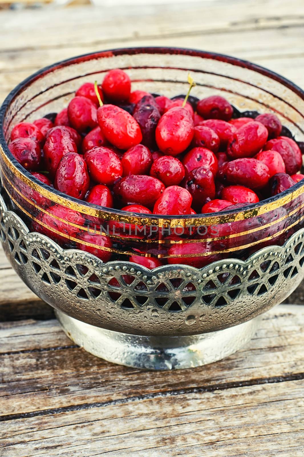 Vase with ripe cornelian cherry by LMykola