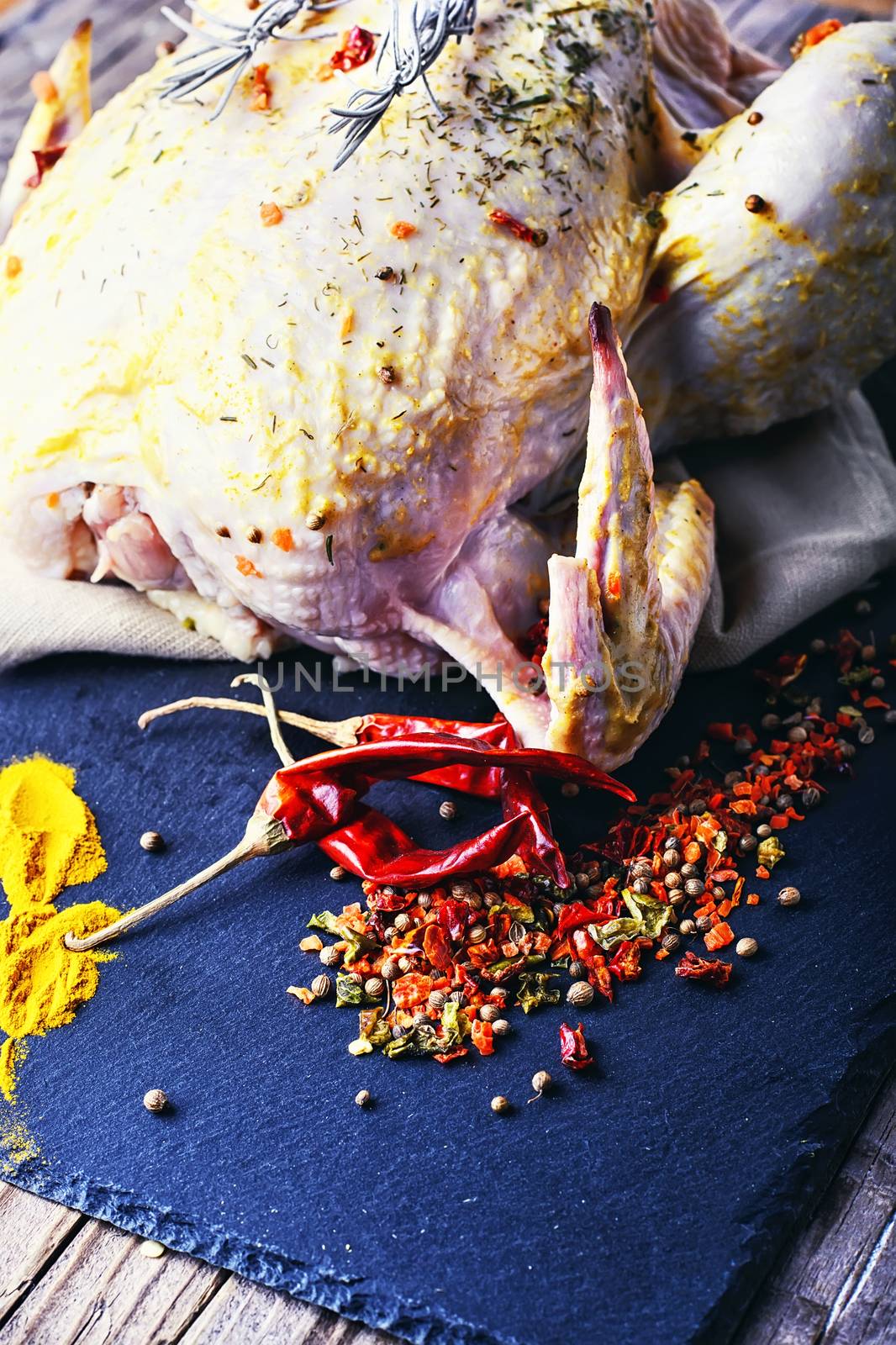 Chicken in spices and seasonings by LMykola