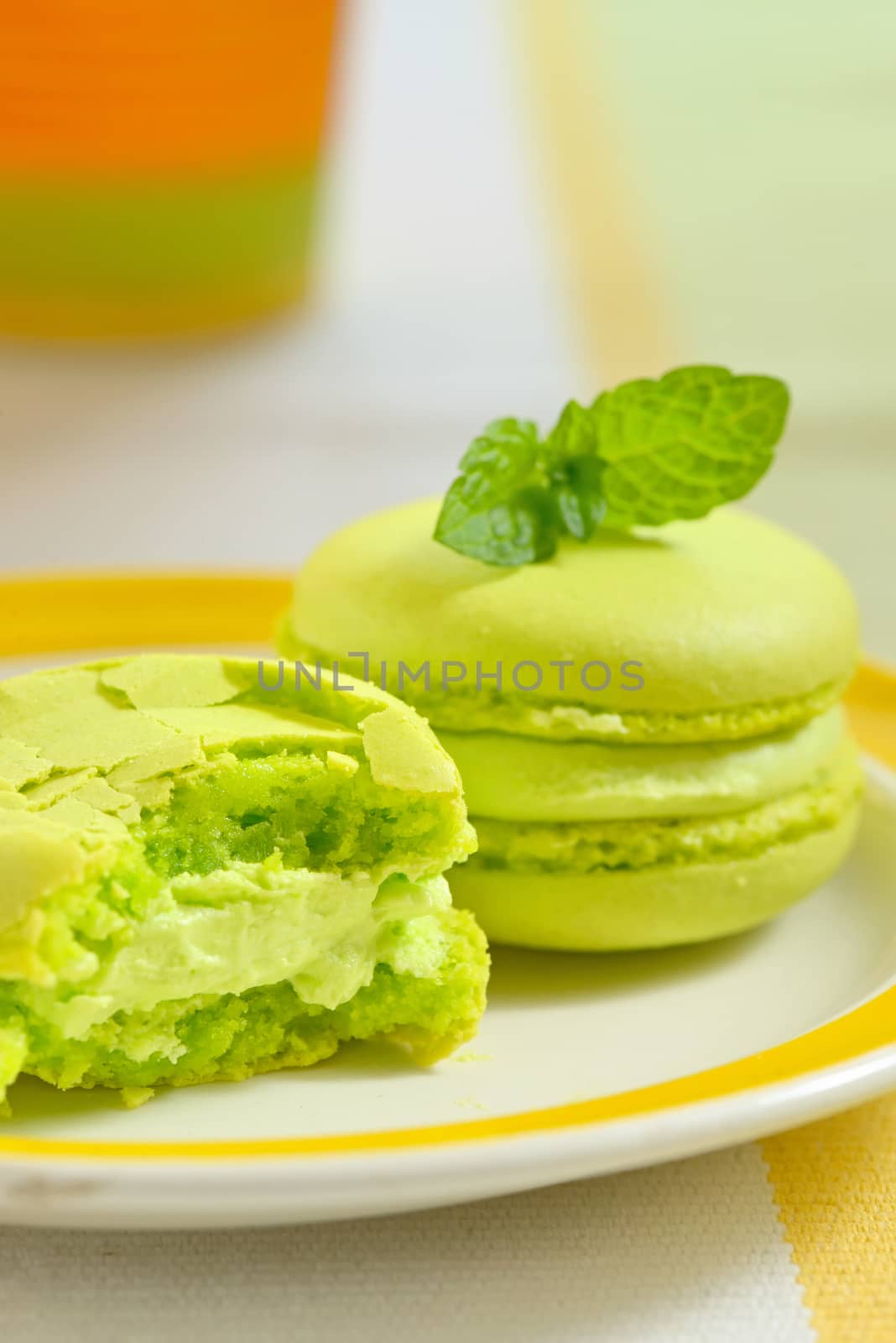 Green macaroon with fresh mint leaves