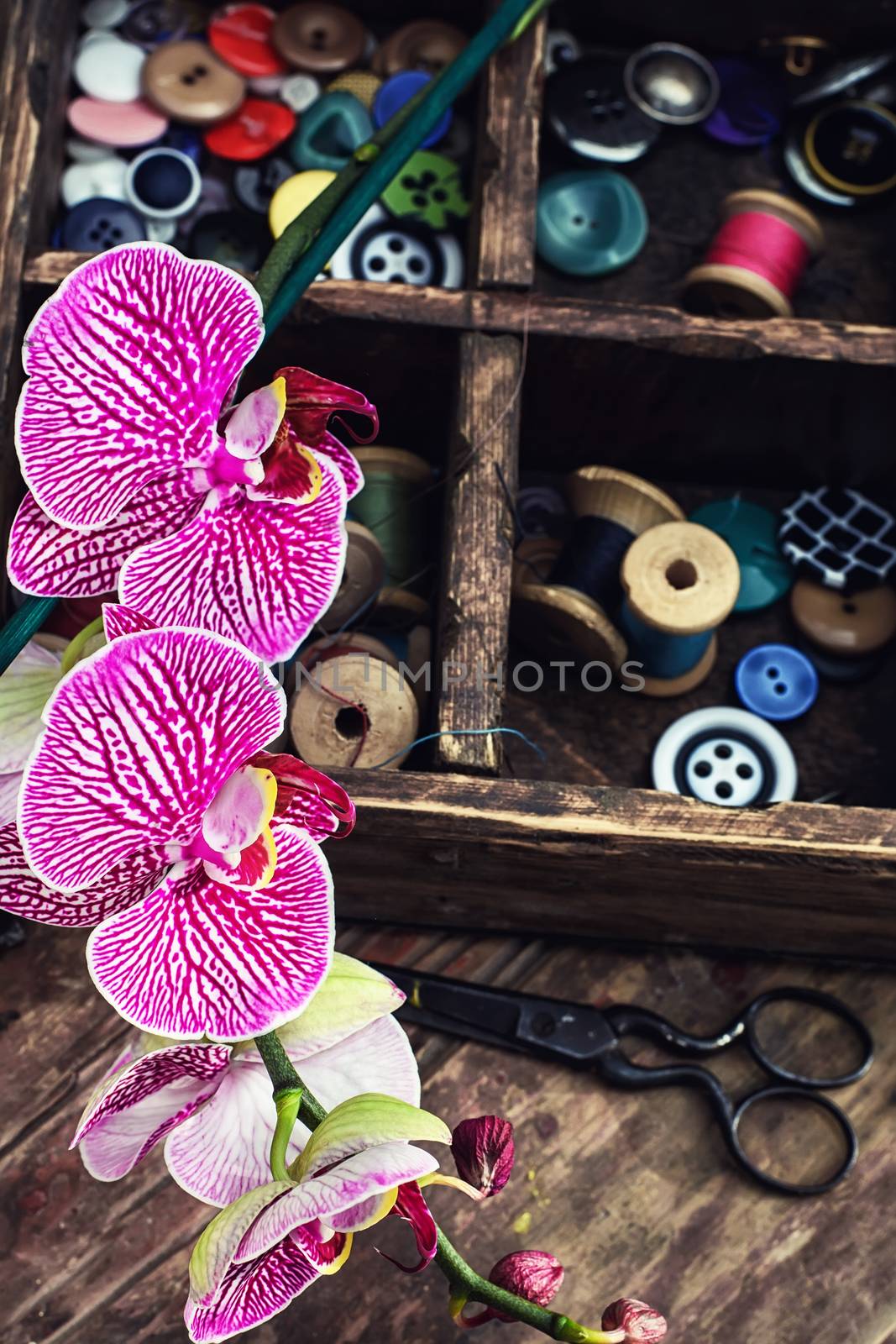 Sewing supplies and Orchid by LMykola