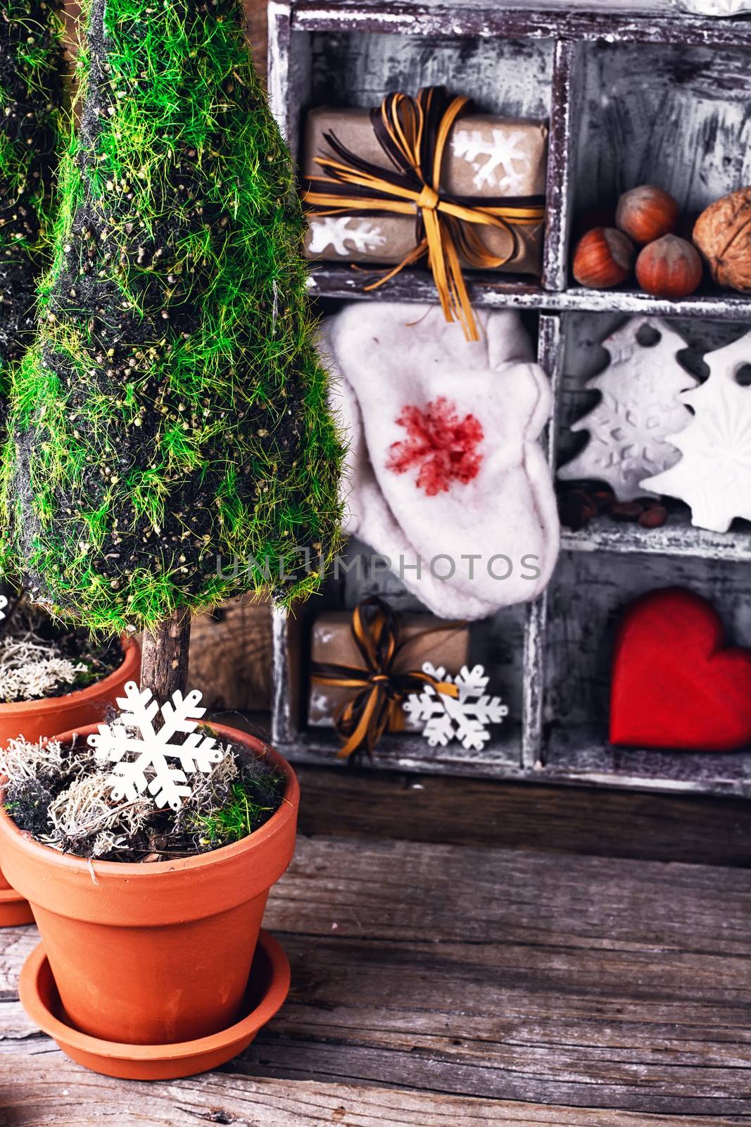 symbolic cypress tree in on the background of the box with Christmas decorations