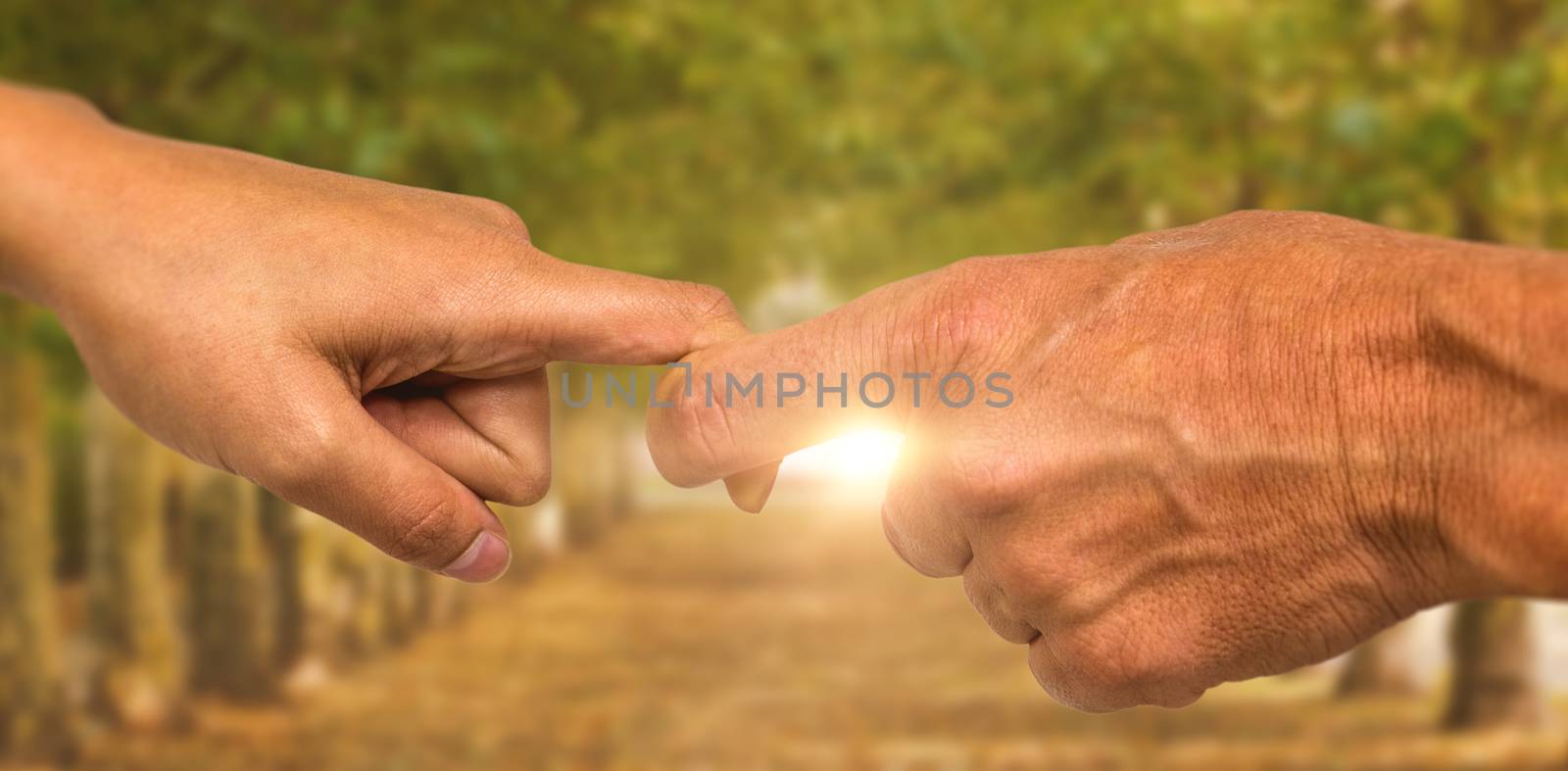 Cropped hands of people holding fingers against walkway along lined trees in the park