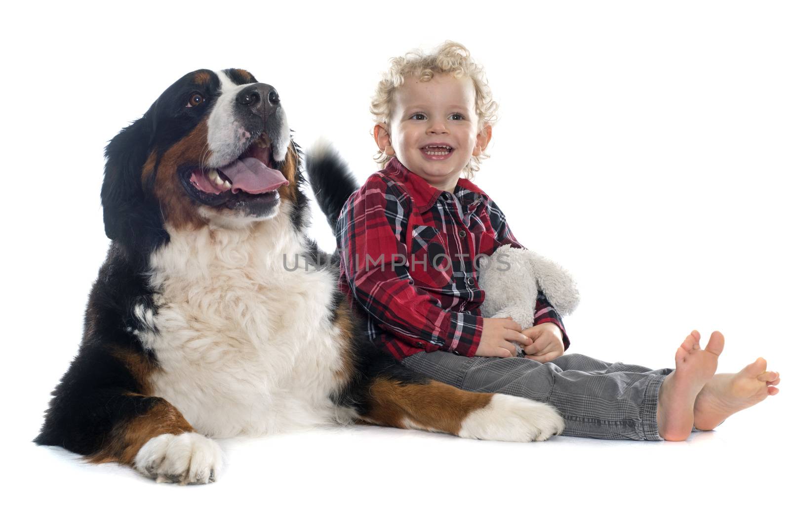 little boy and dog in front of white background