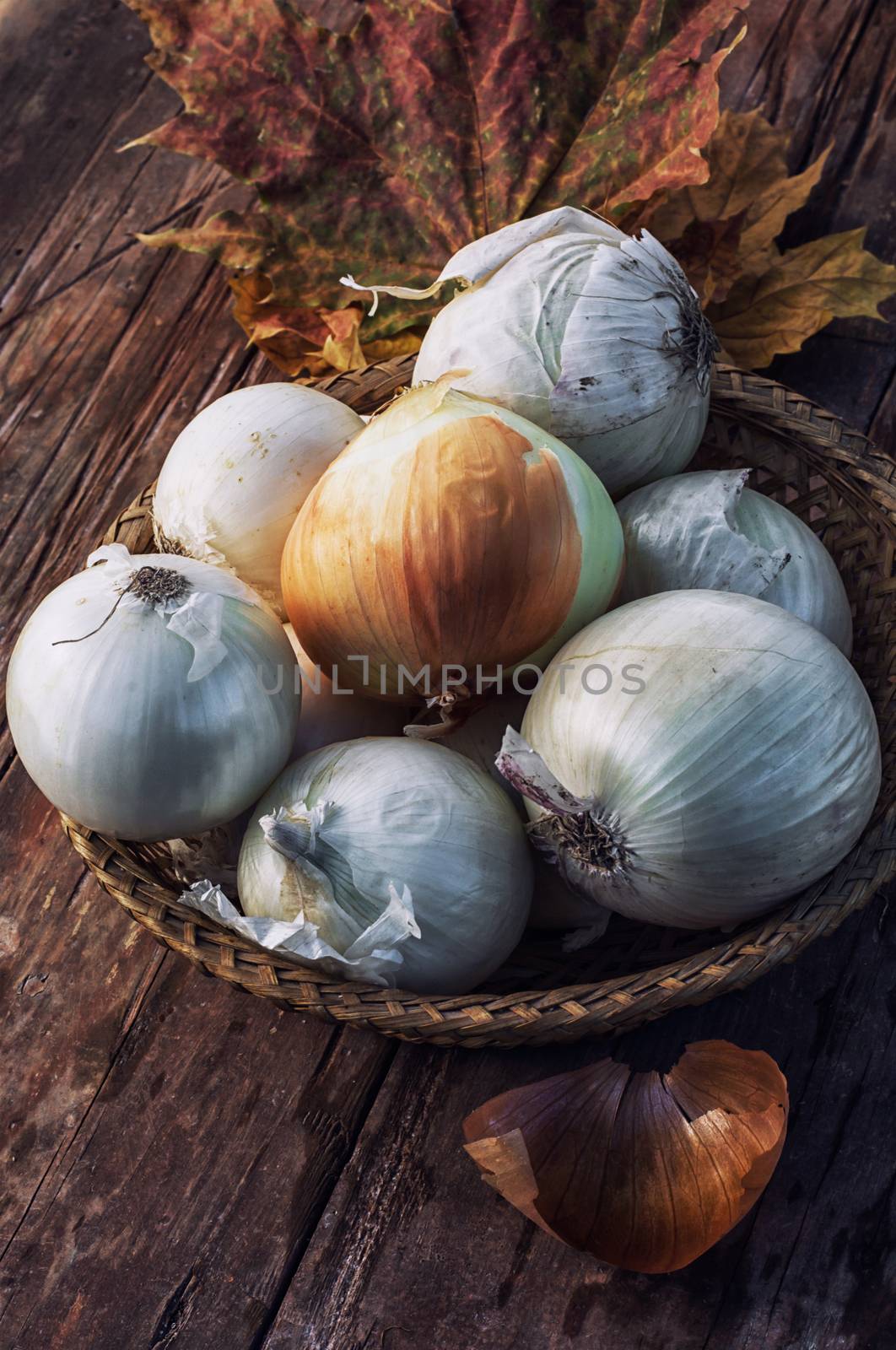 rural harvest onions on wooden table top