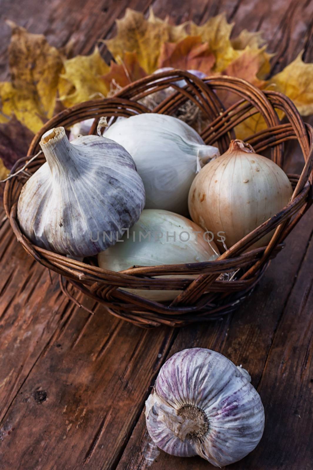 rural harvest onions on wooden table top