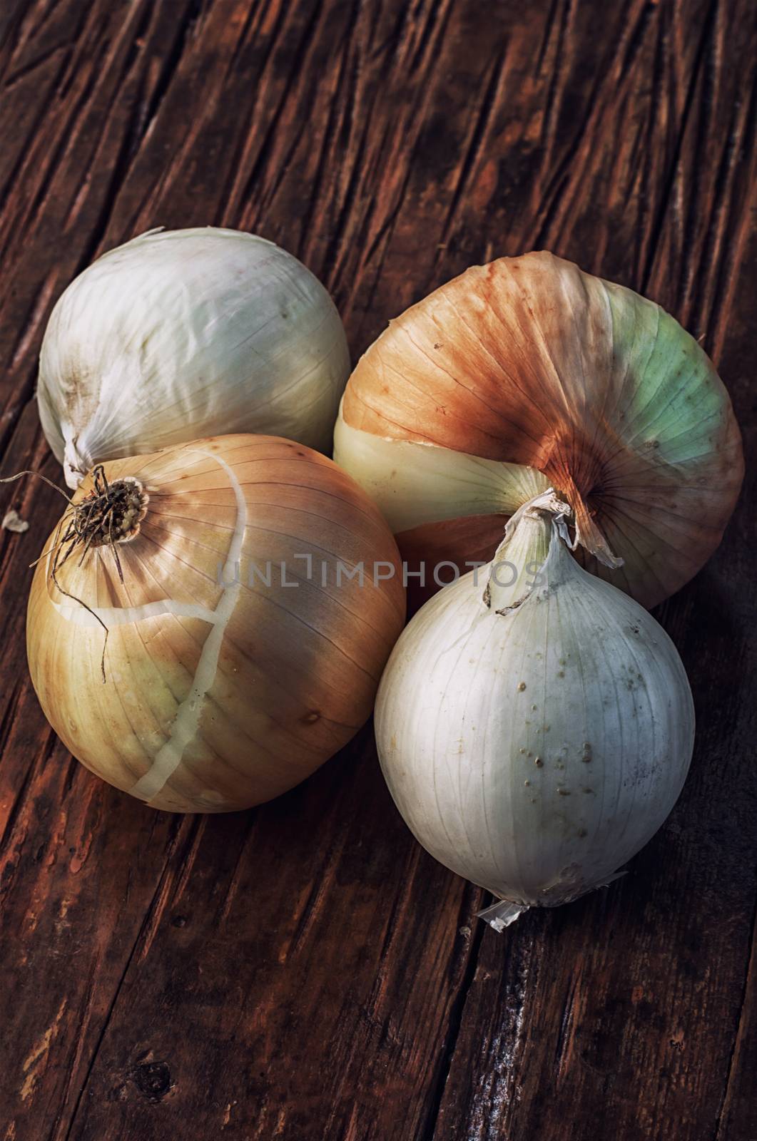 rural harvest onions on wooden table top