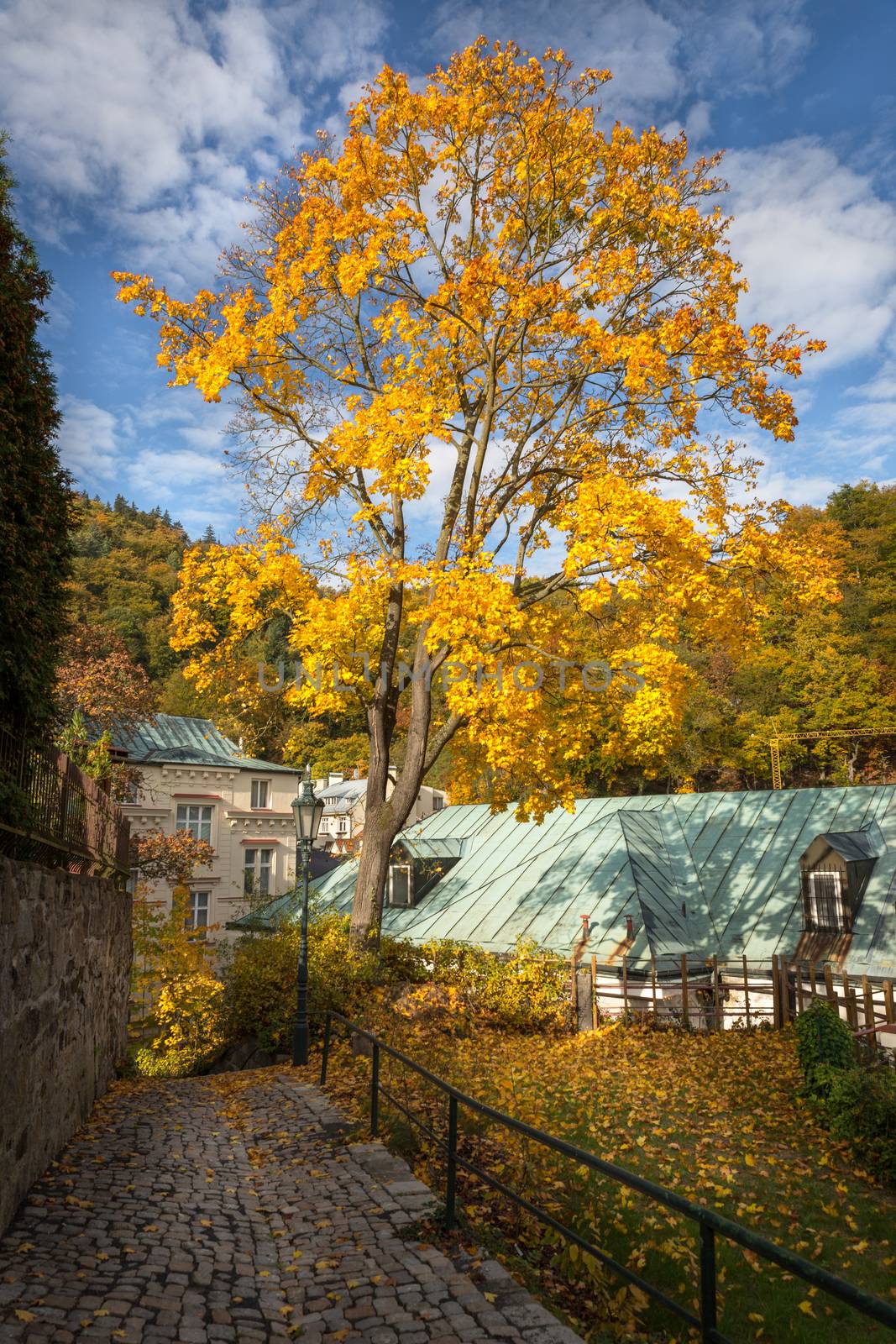 Carlsbad at autumn time, Czech Republic