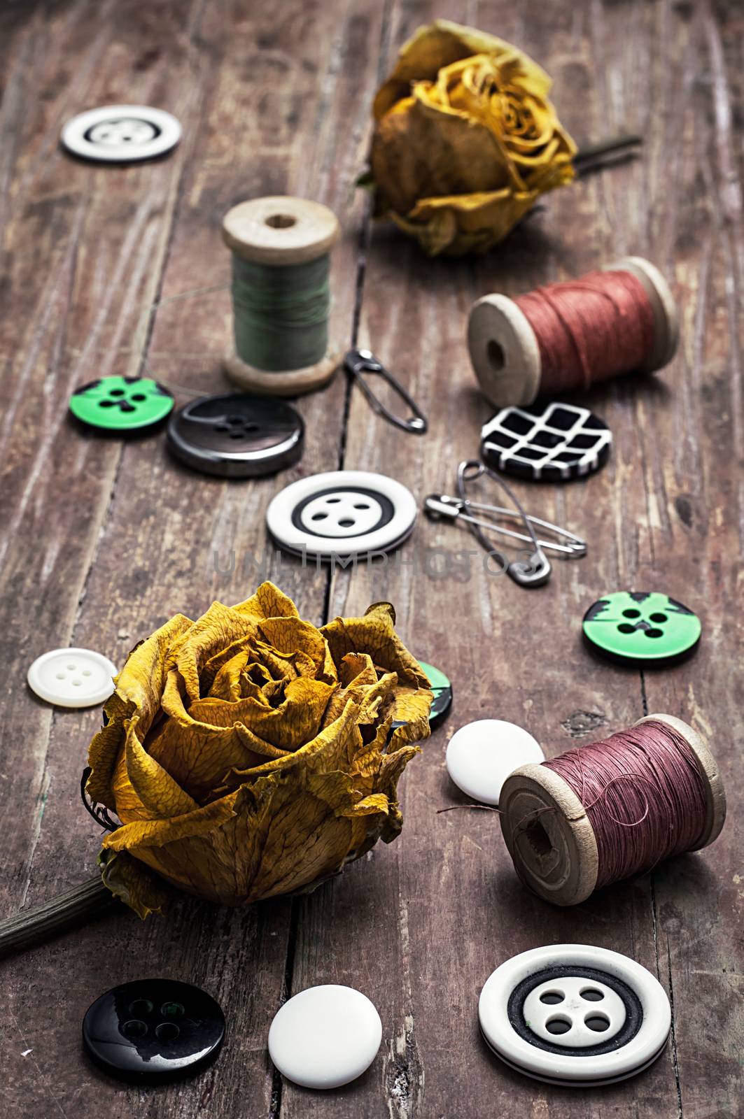 sewing thread, with buttons on wooden background with buds dried yellow roses