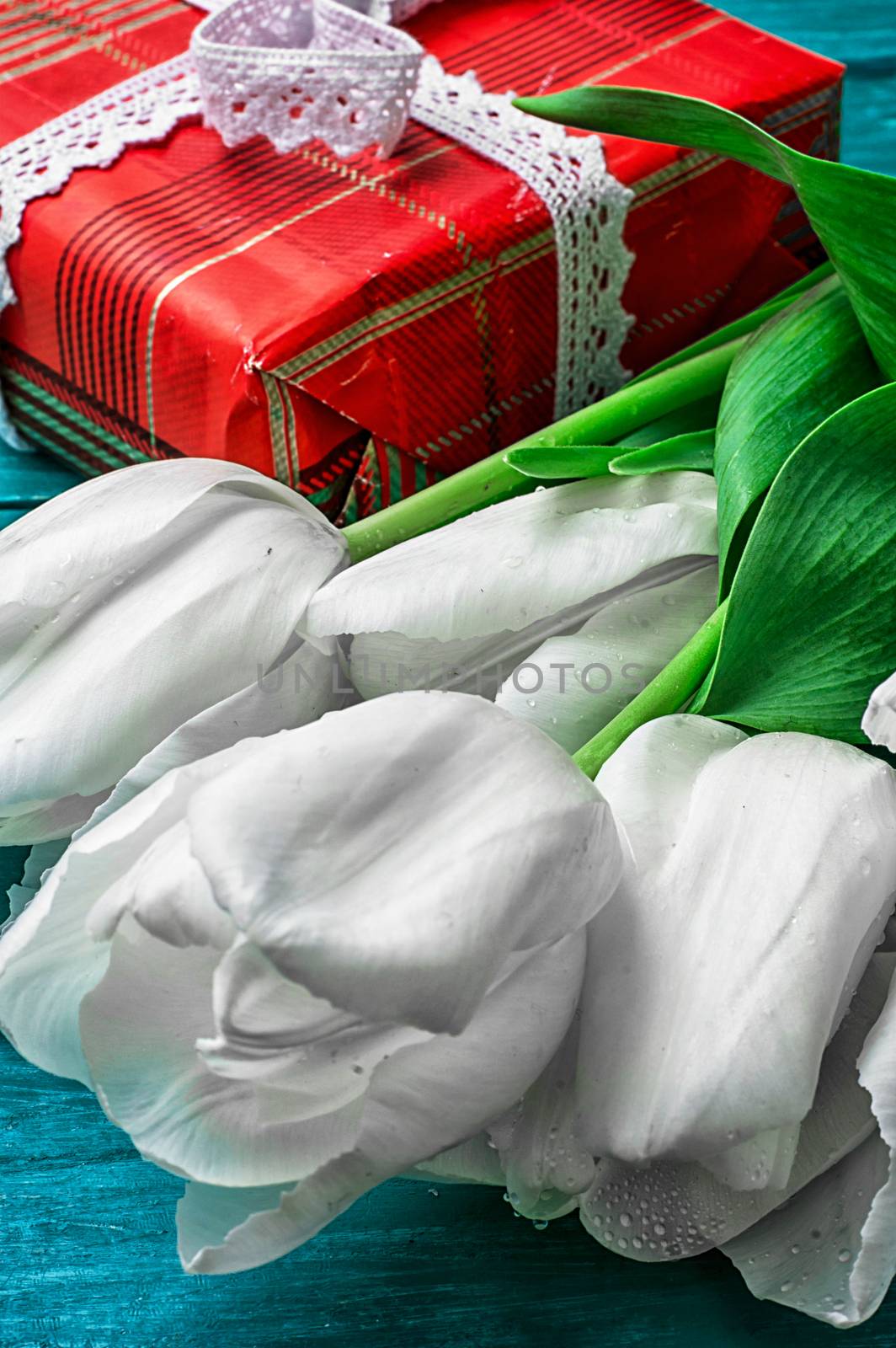 Packed gift box amid a bouquet of white tulips