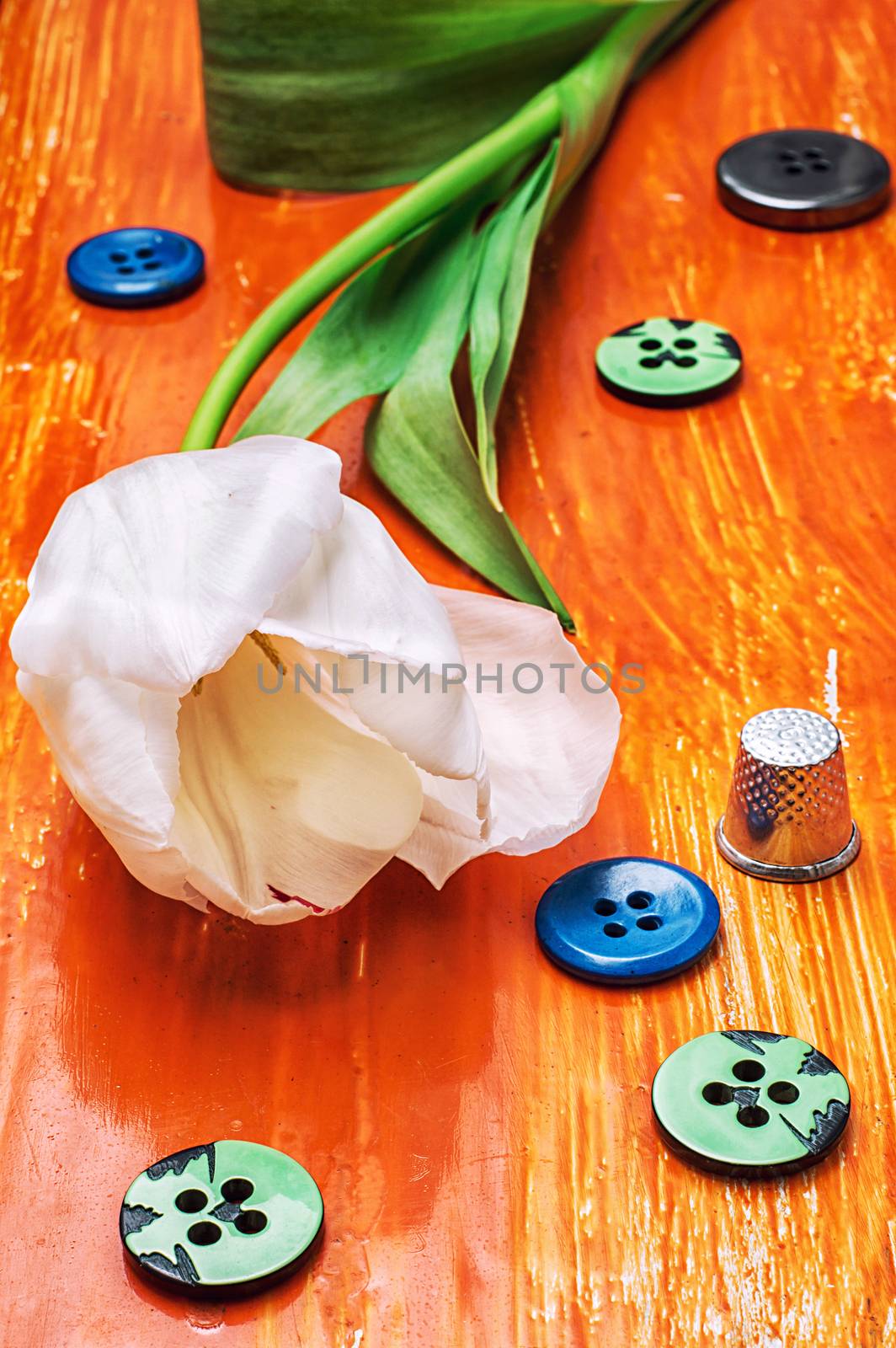 white tulip and buttons with thread on orange wooden background