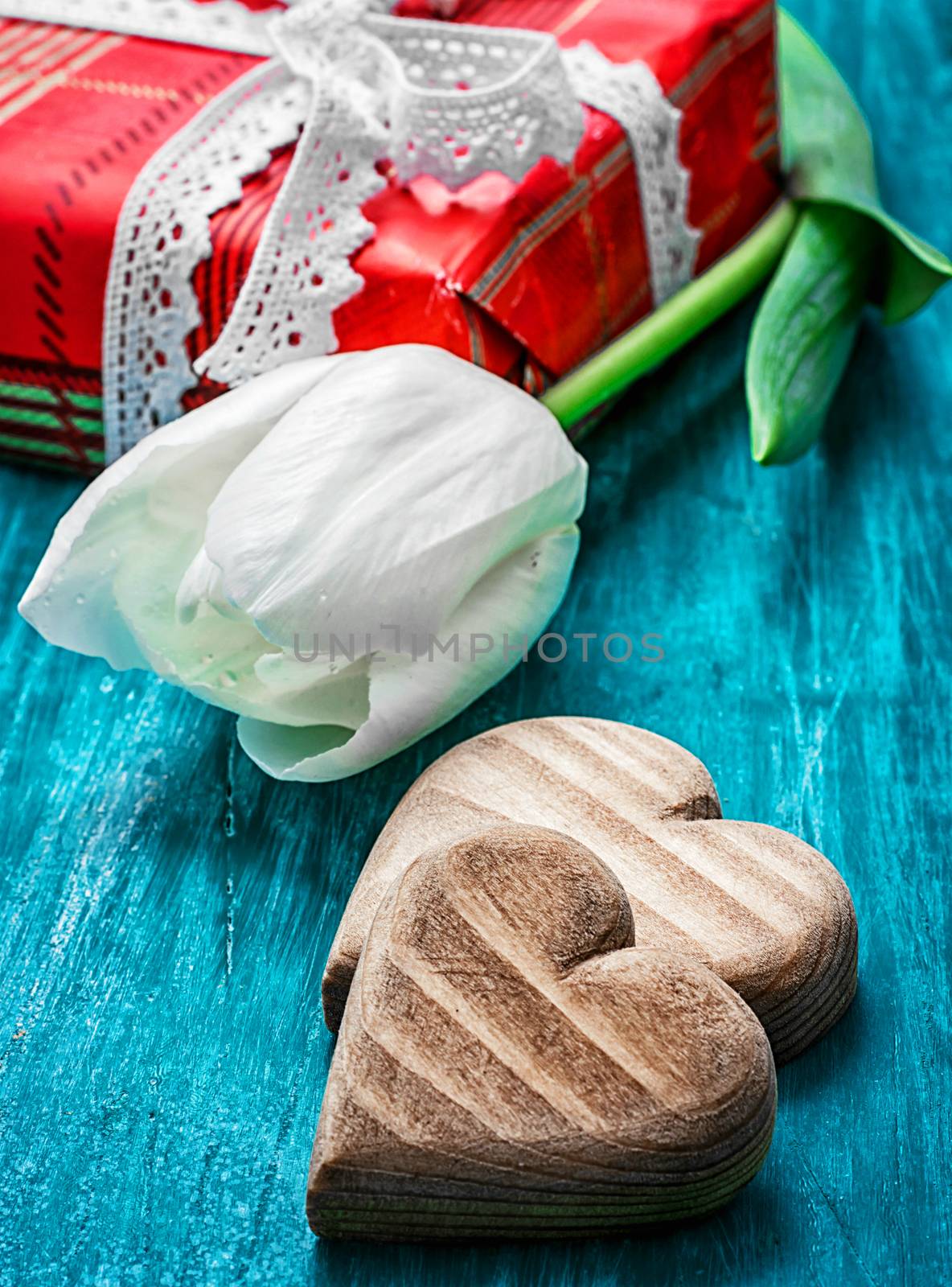 symbolic wooden heart on the background of one white tulip