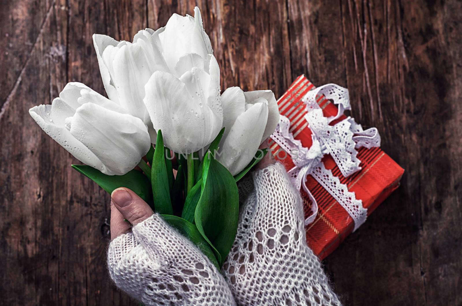 female hand with a bouquet of fresh white tulips