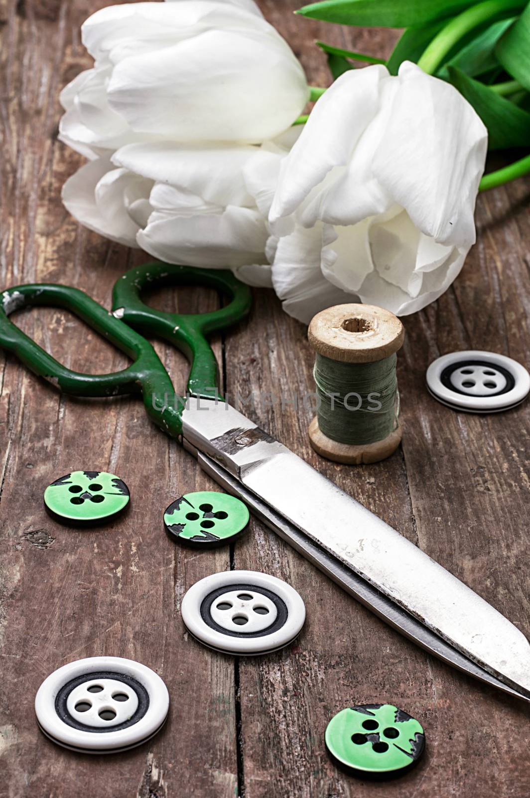 set of sewing accessories from threads and buttons on the background of white tulips