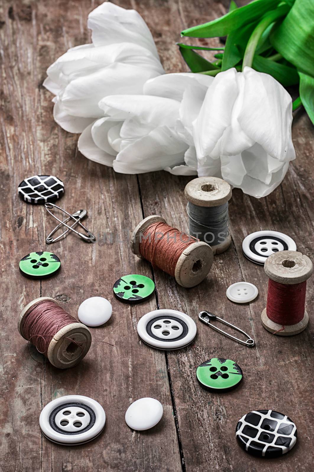 set of sewing accessories from threads and buttons on the background of white tulips