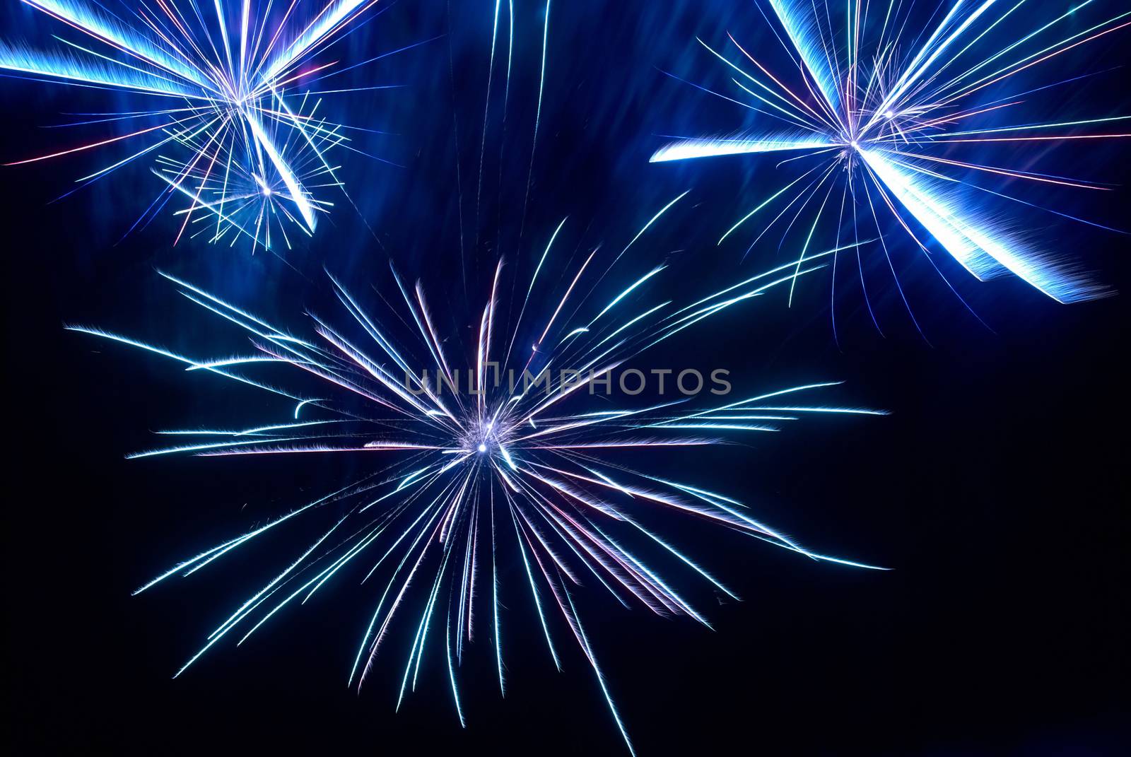 Colorful fireworks on the black sky background