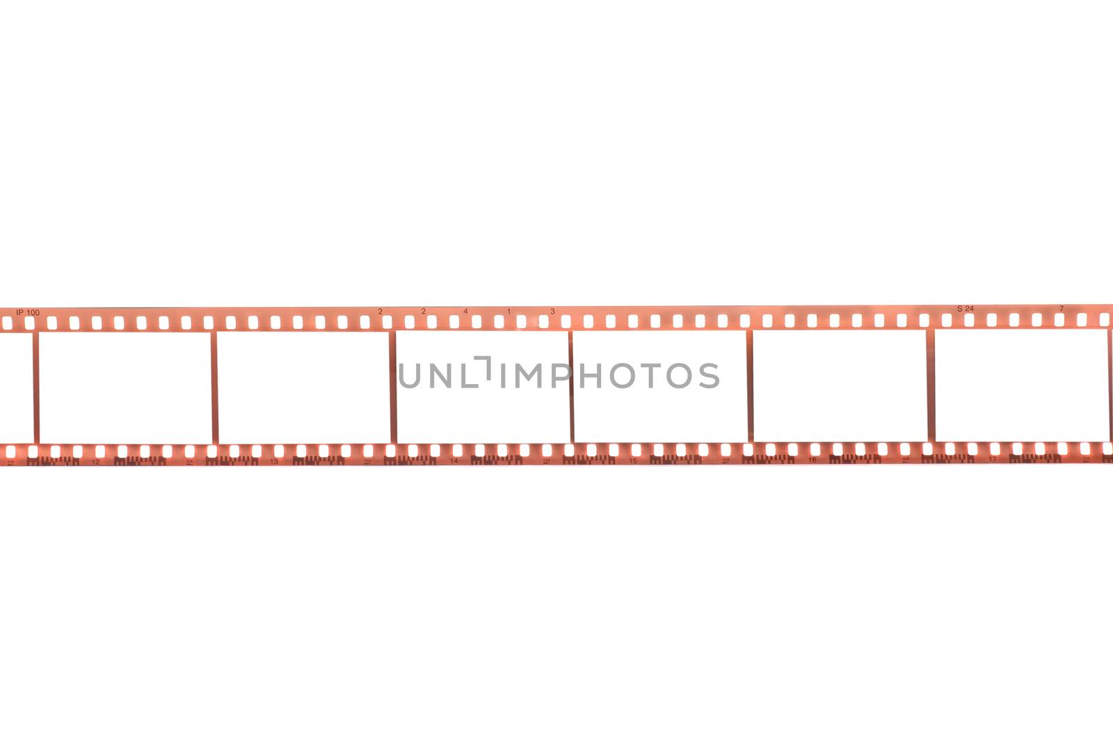 Photographic film with empty frames on white background