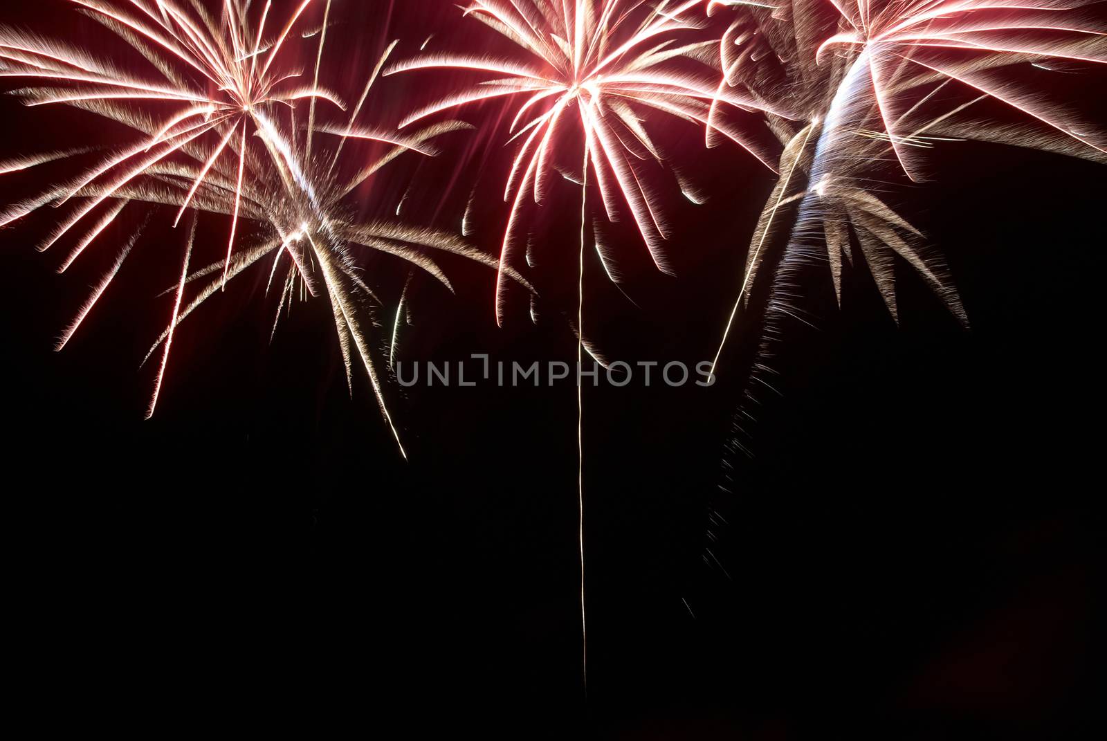 Colorful fireworks on the black sky background