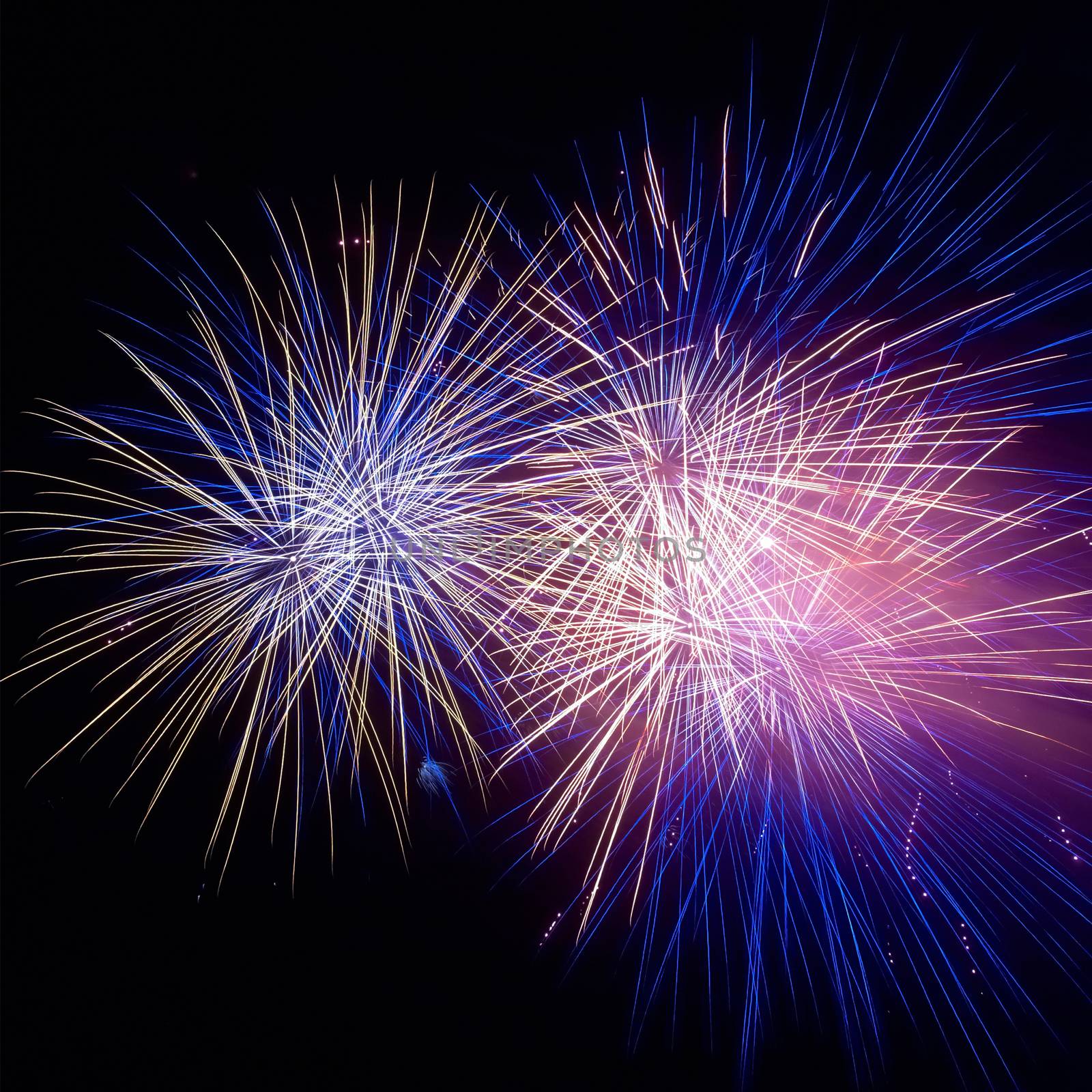 Colorful fireworks on the black sky background