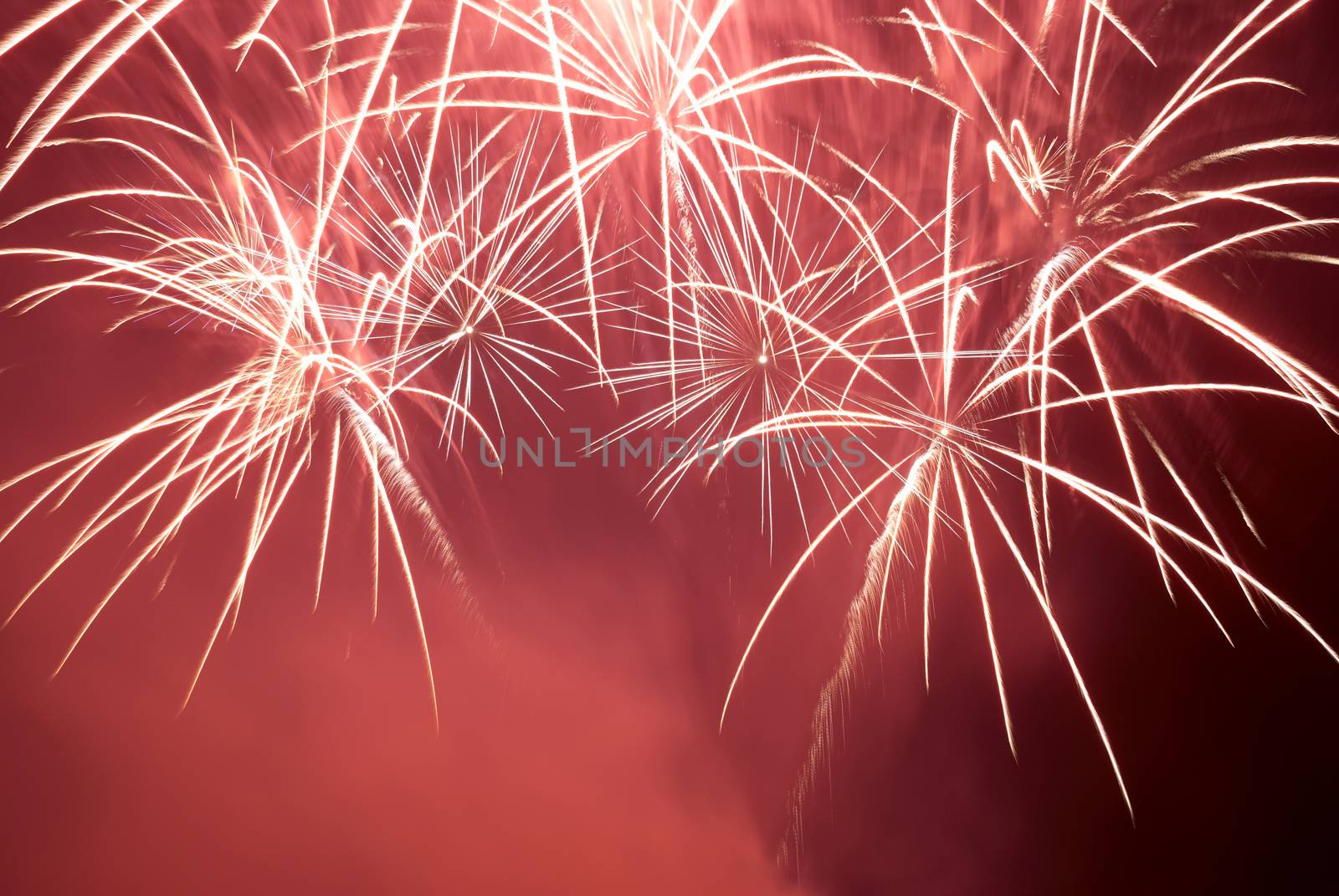 Red colorful fireworks on the black sky background. Holiday celebration.