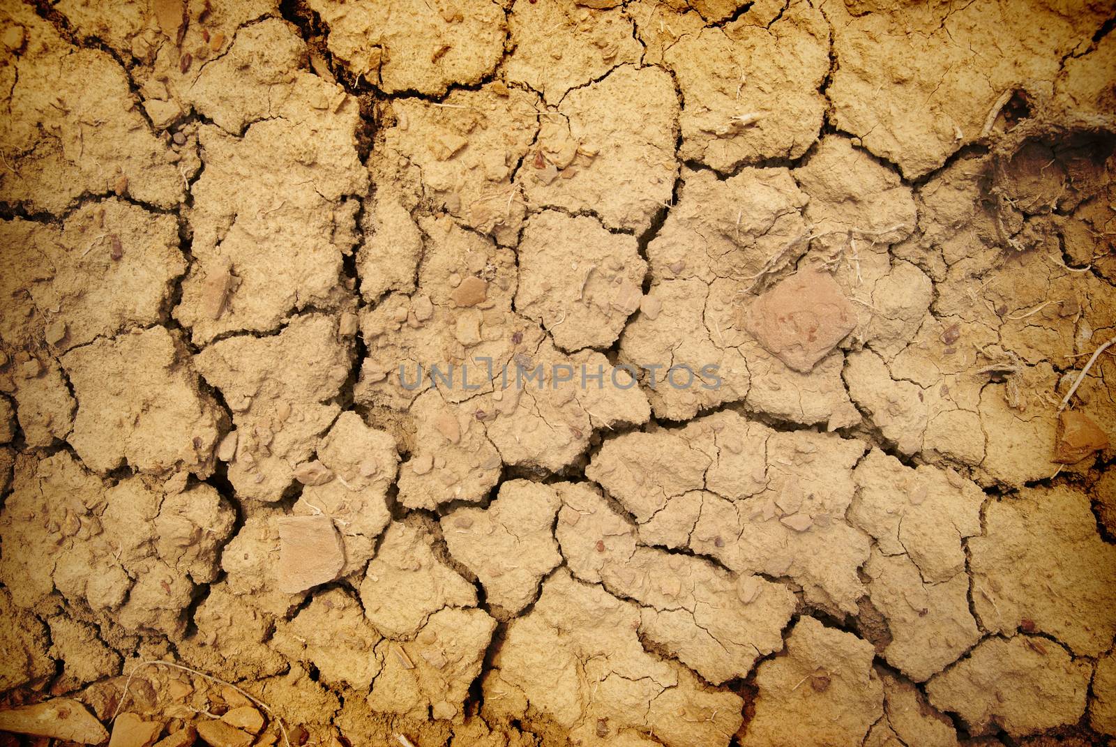 Dry soil by vapi