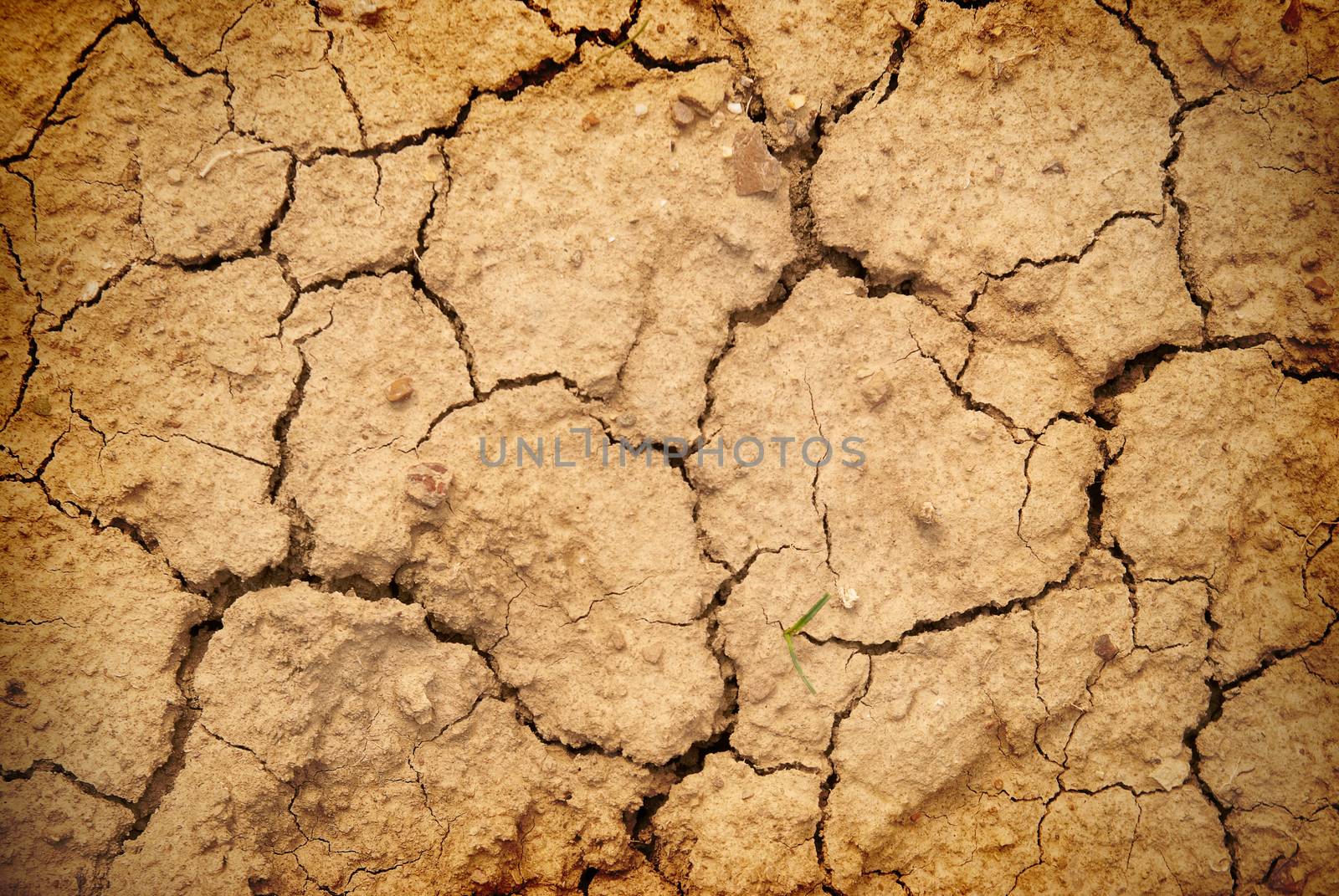 Dry yellow soil in the desert. Texture for background