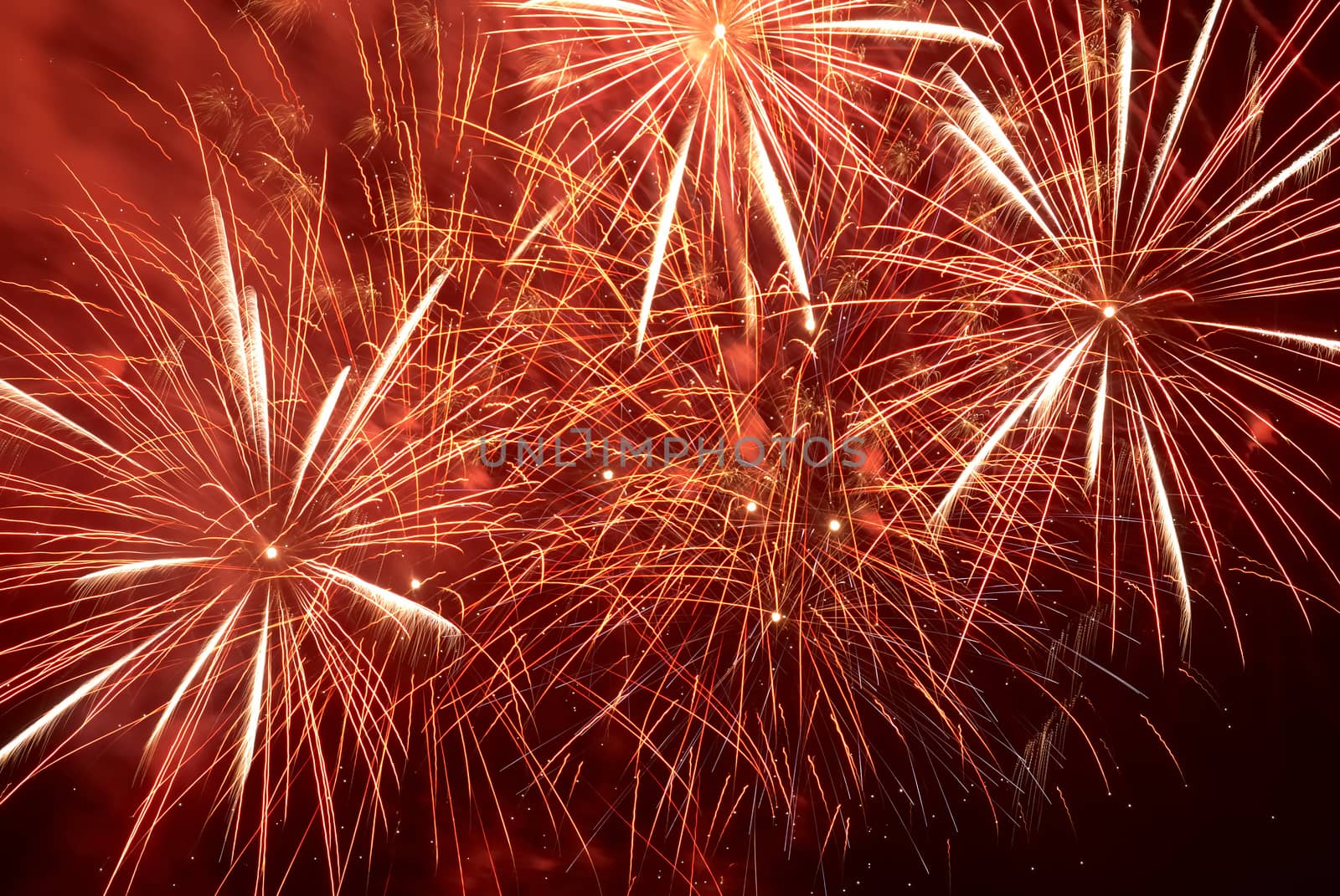 Red colorful holiday fireworks on the black sky background.