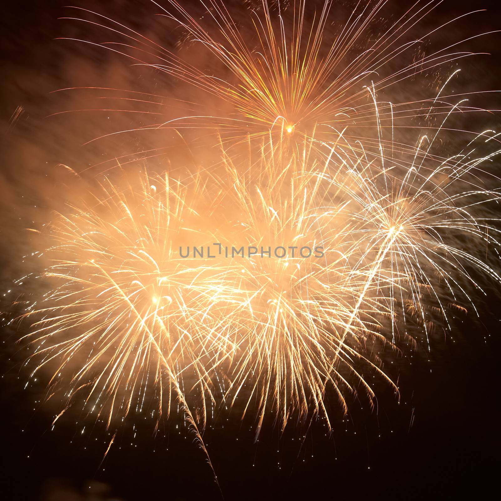 Colorful holiday fireworks on the black sky background.