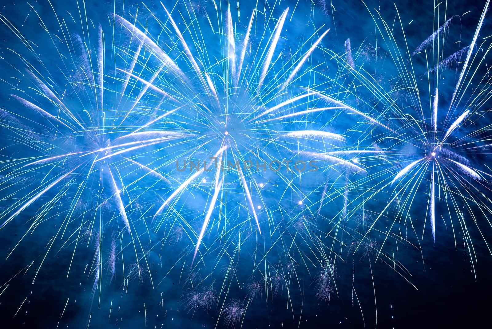 Blue colorful holiday fireworks on the black sky background.