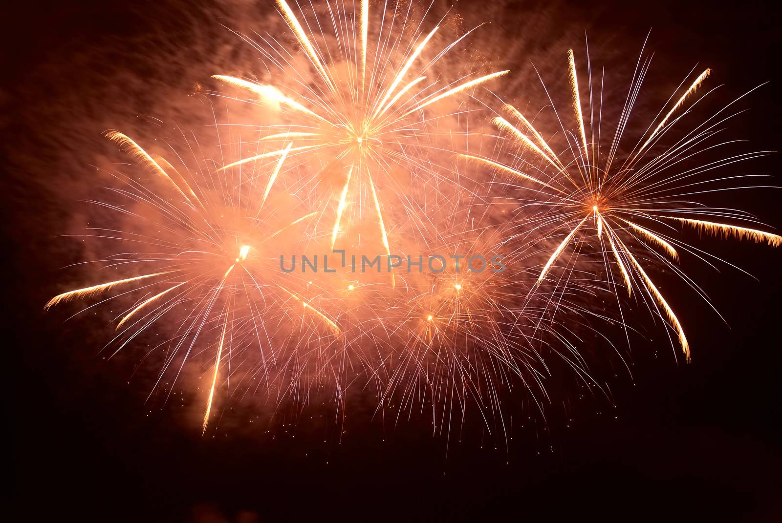 Colorful holiday fireworks on the black sky background.