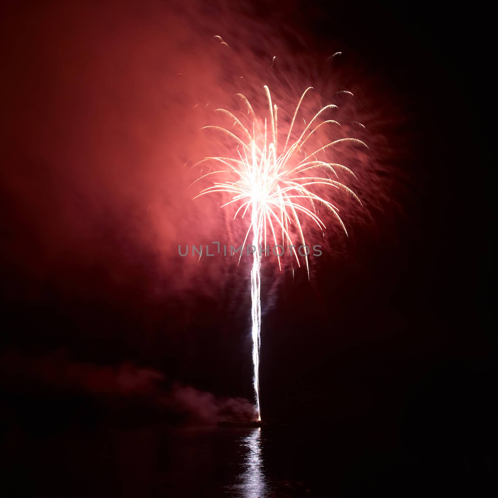 Colorful holiday fireworks on the black sky background.