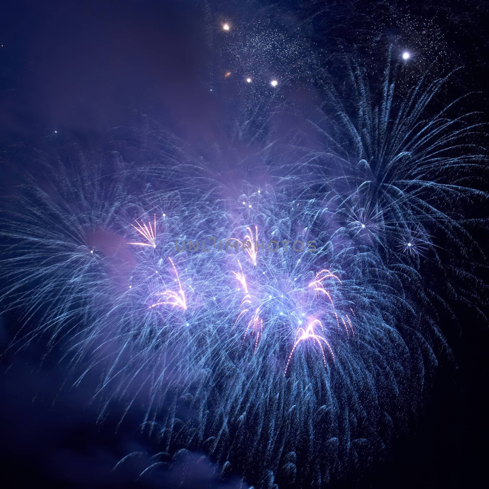 Blue colorful holiday fireworks on the black sky background.