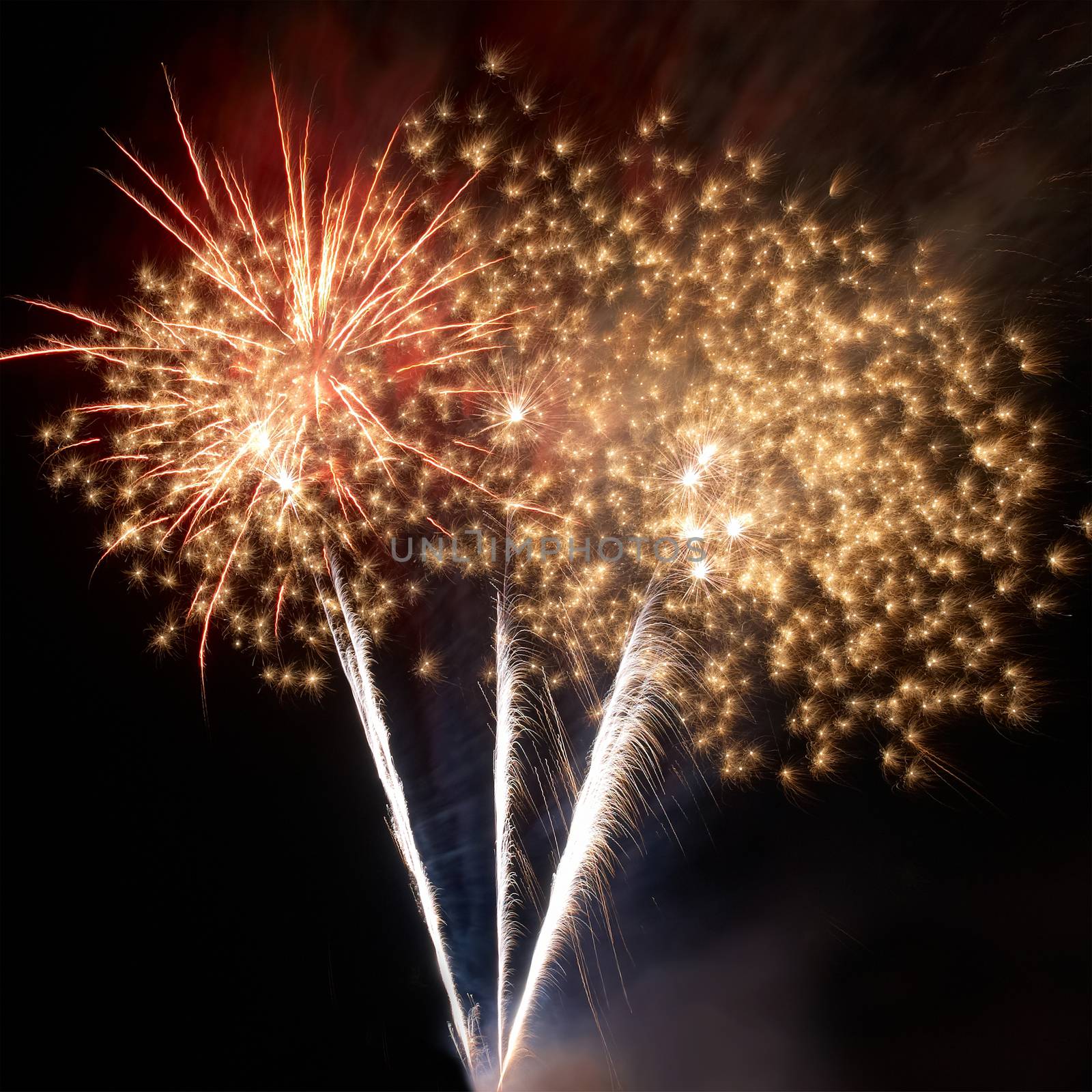 Colorful fireworks on the black sky background