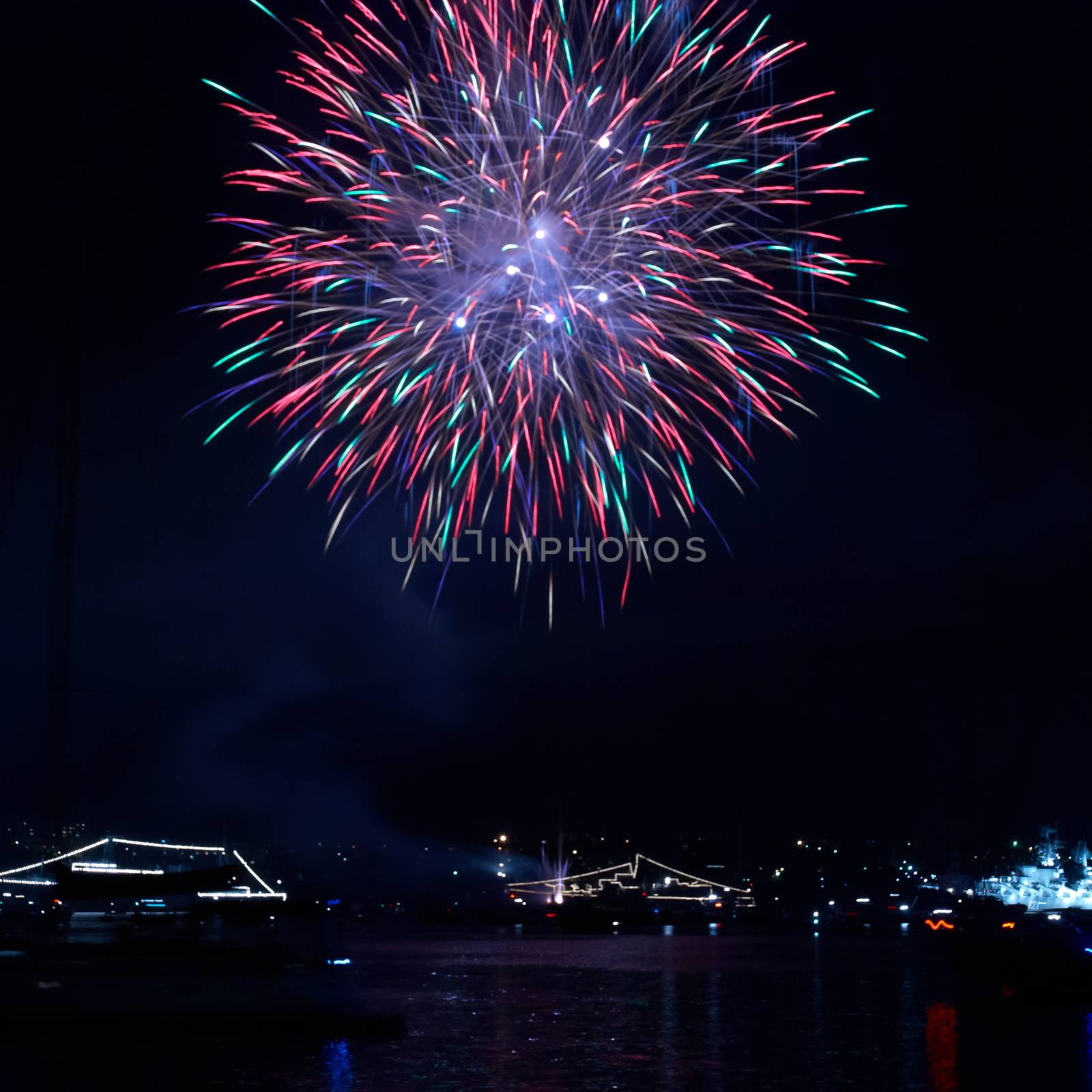 Colorful fireworks on the black sky background