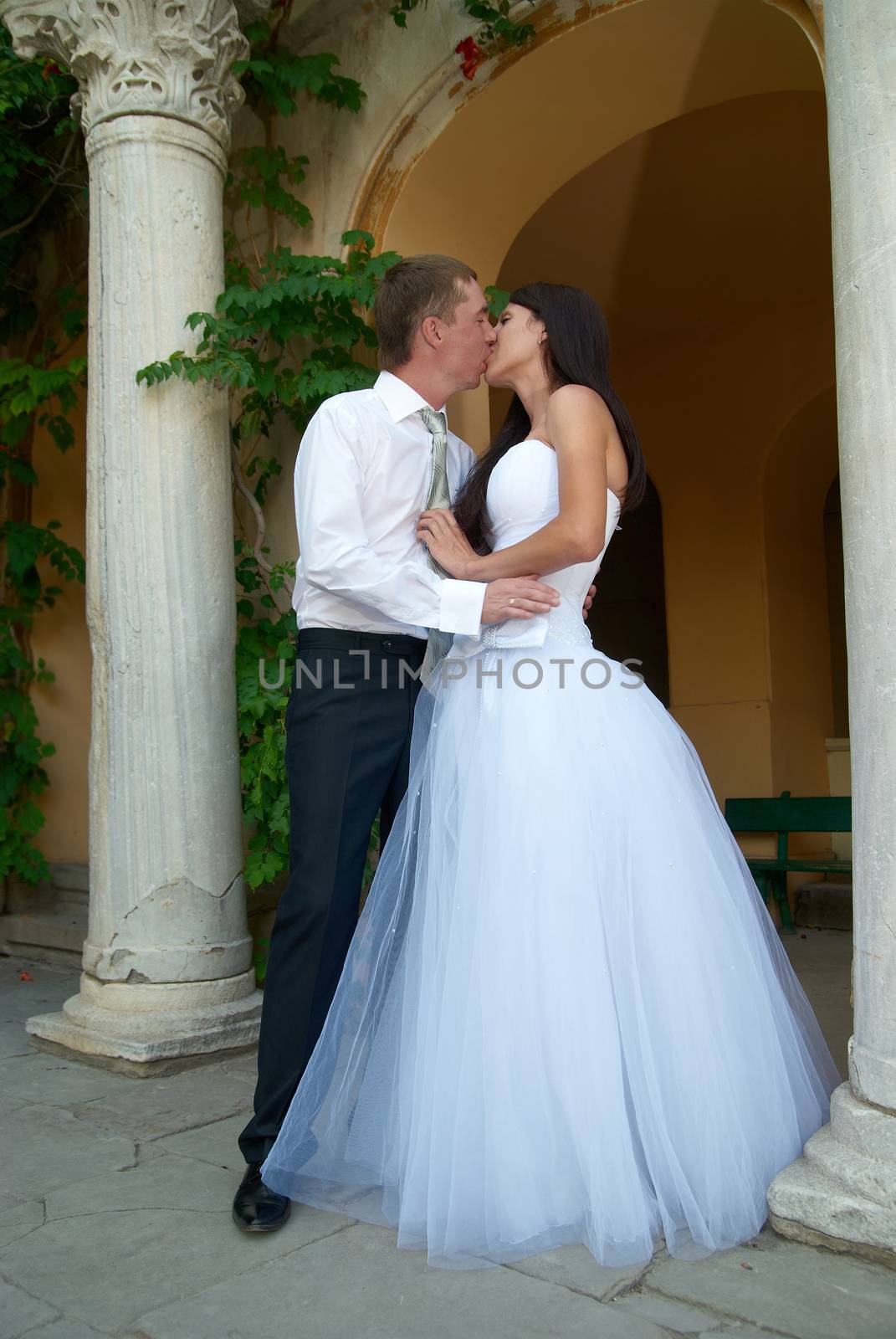 Beautiful wedding couple- kissing bride and groom. Just married