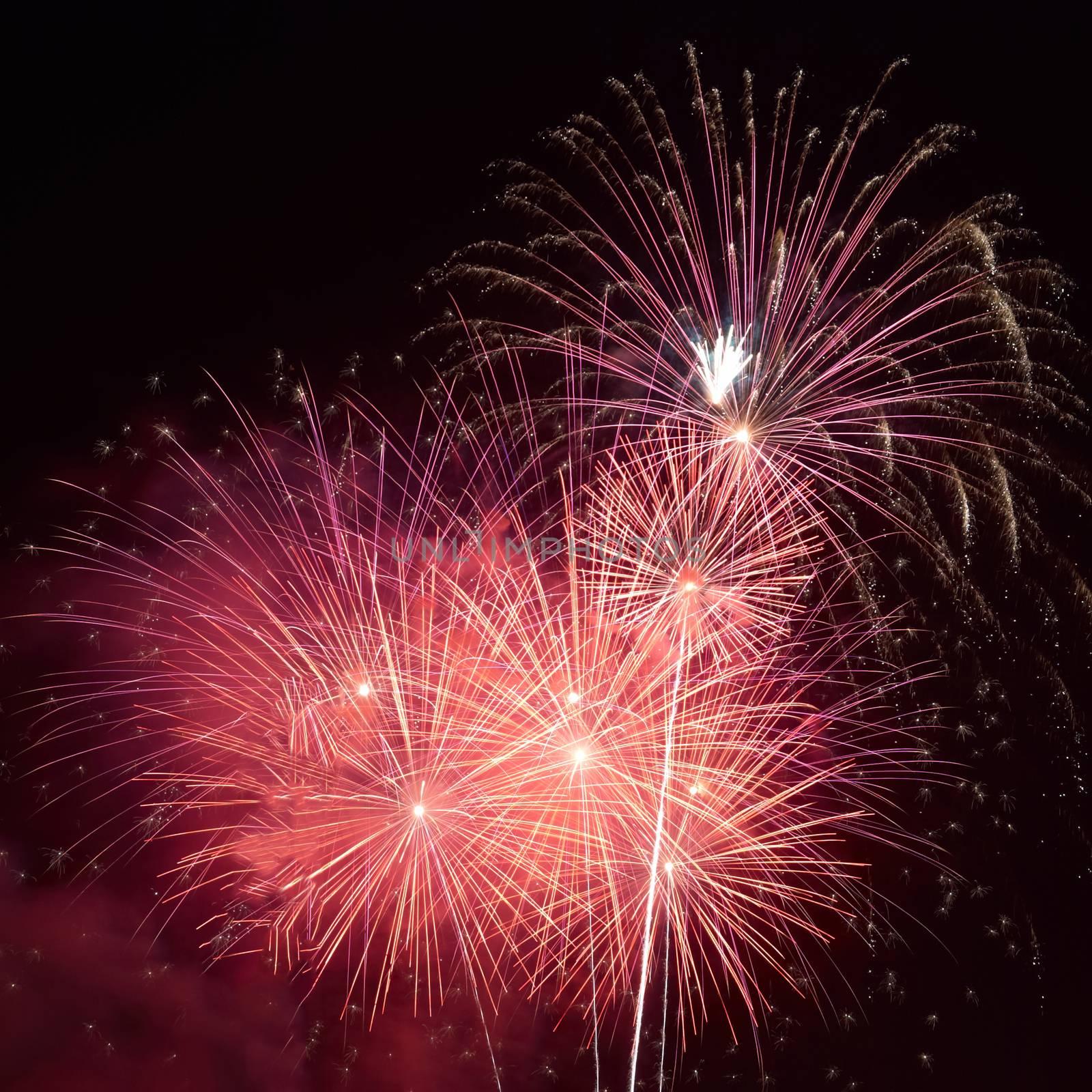 Red colorful holiday fireworks on the black sky background.