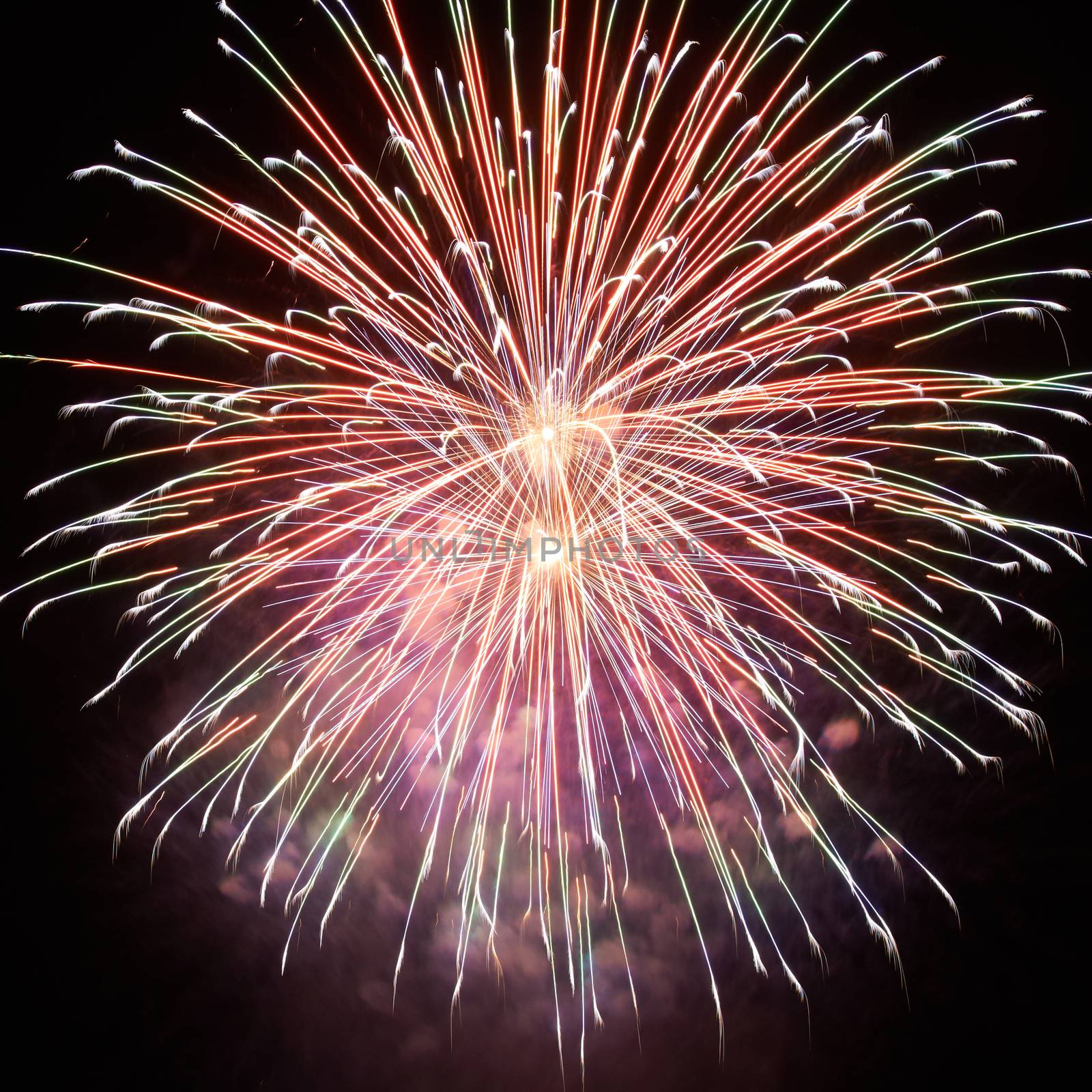 Red and purple colorful holiday fireworks on the black sky background.