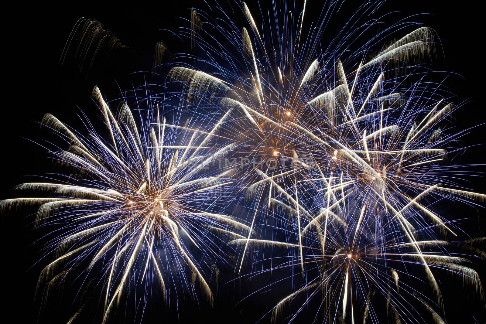 Blue colorful holiday fireworks on the black sky background.