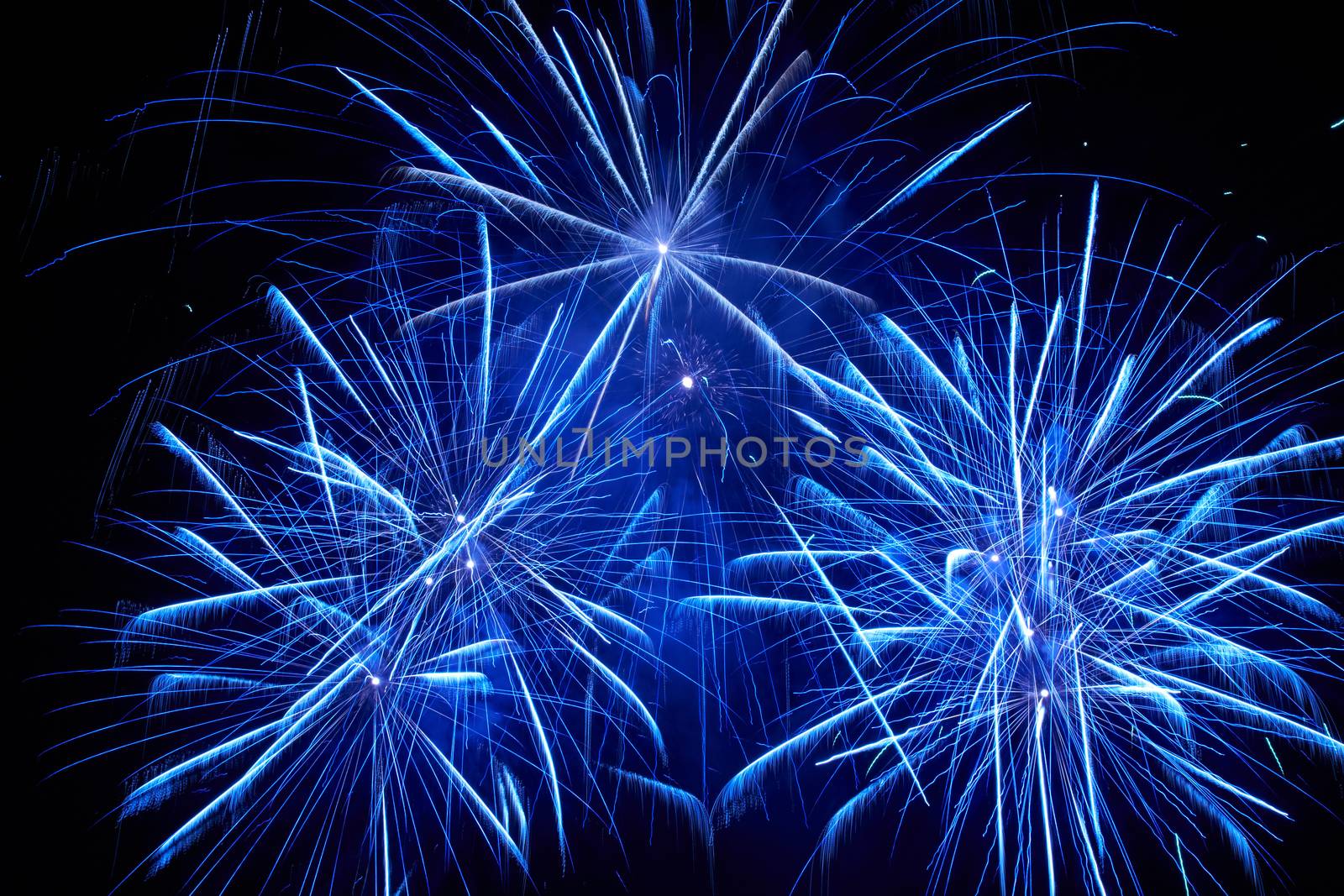 Blue colorful fireworks on the black sky background