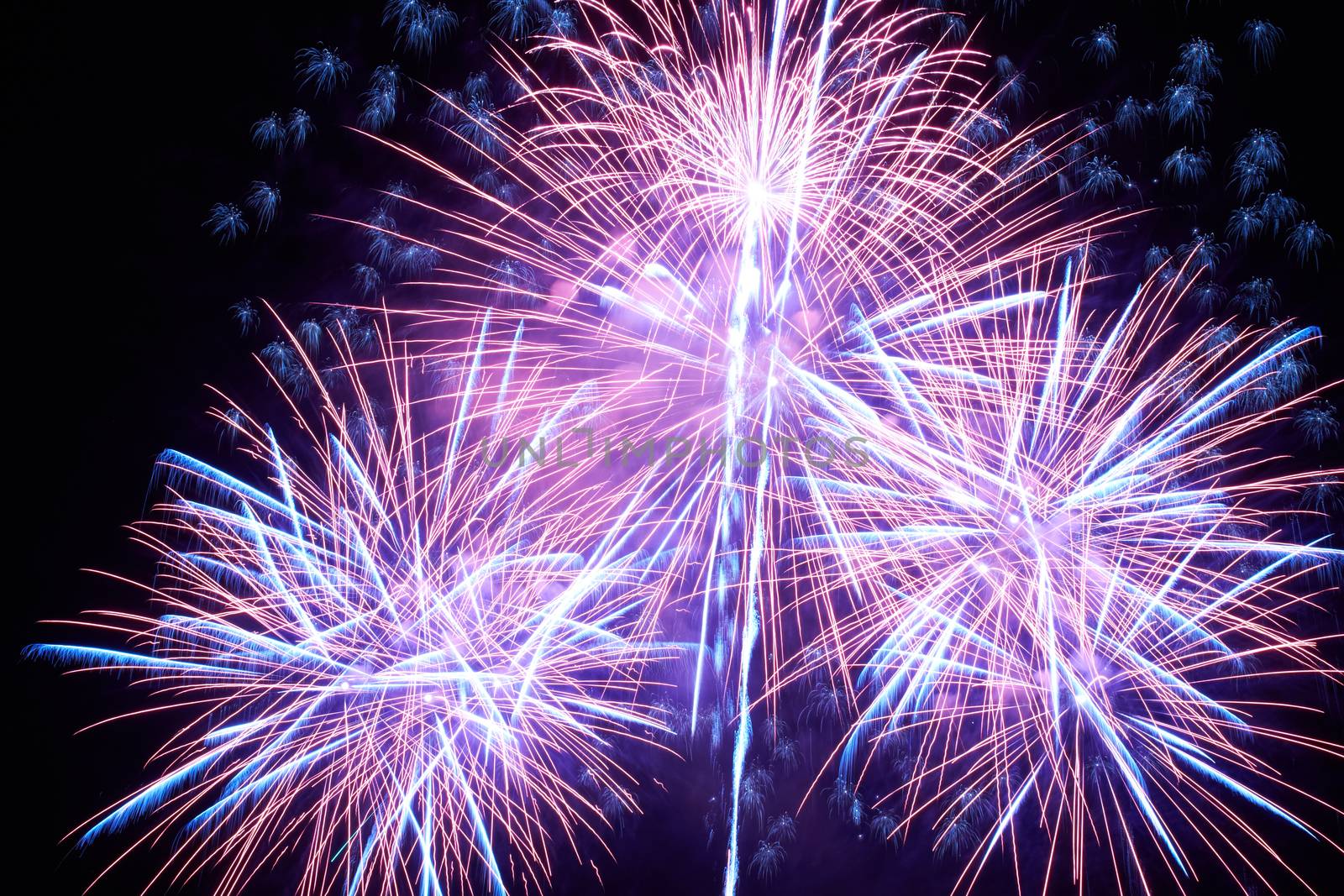 Blue colorful fireworks on the black sky background