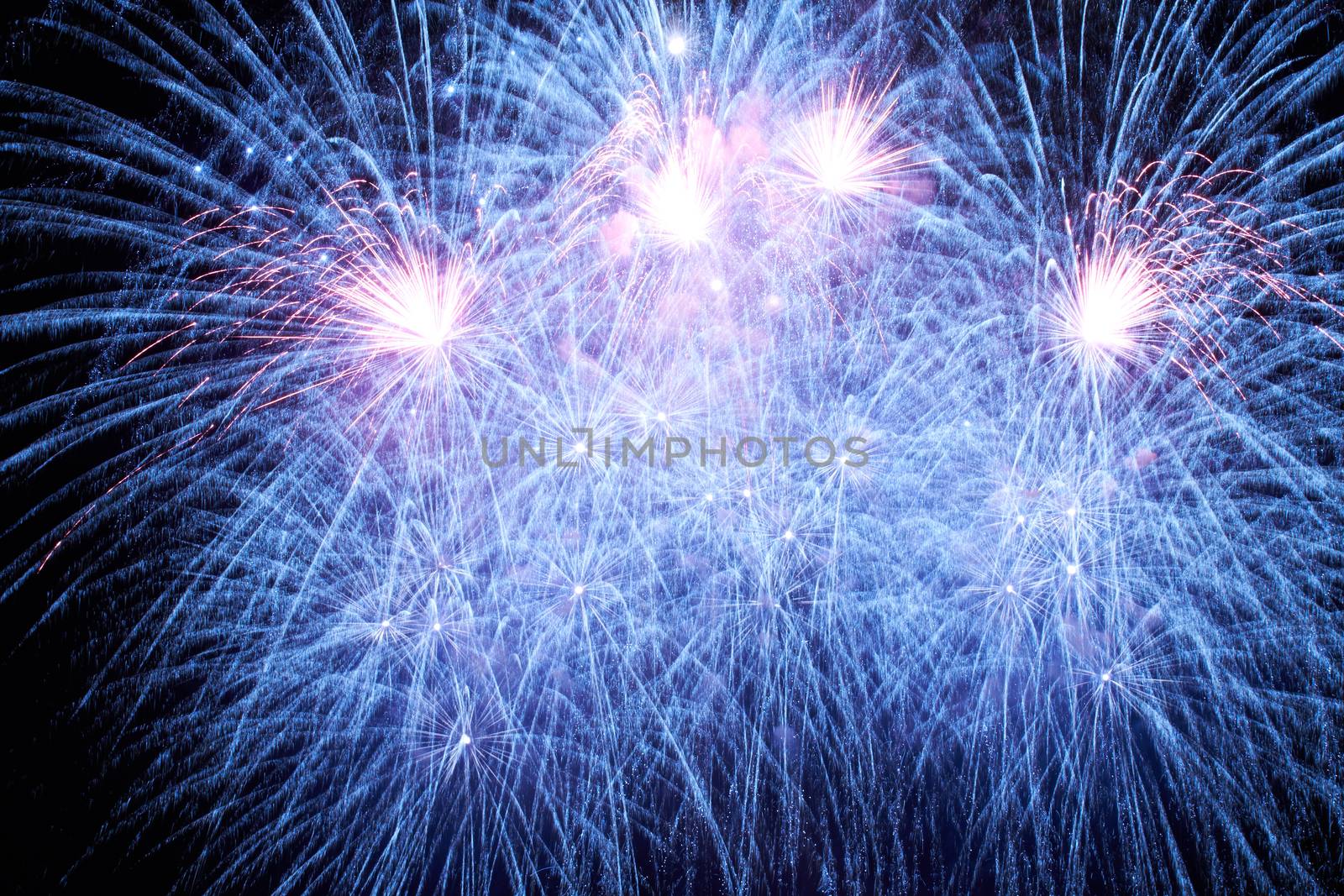 Blue colorful fireworks on the black sky background