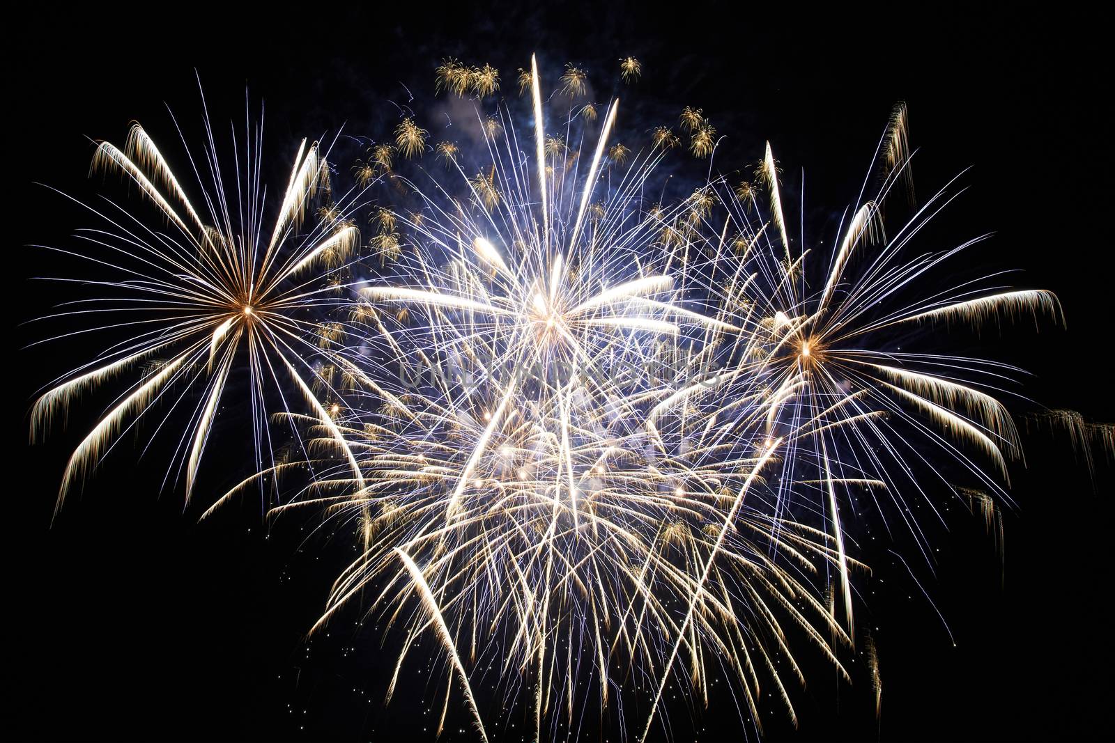 Blue colorful holiday fireworks on the black sky background.