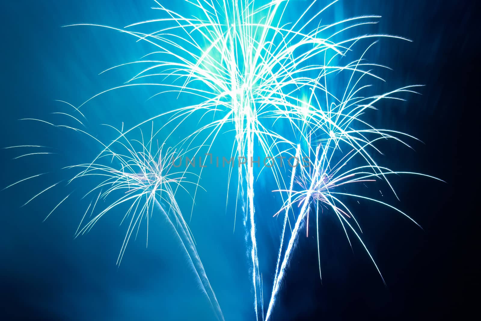 Blue colorful fireworks on the black sky background. Holiday celebration.