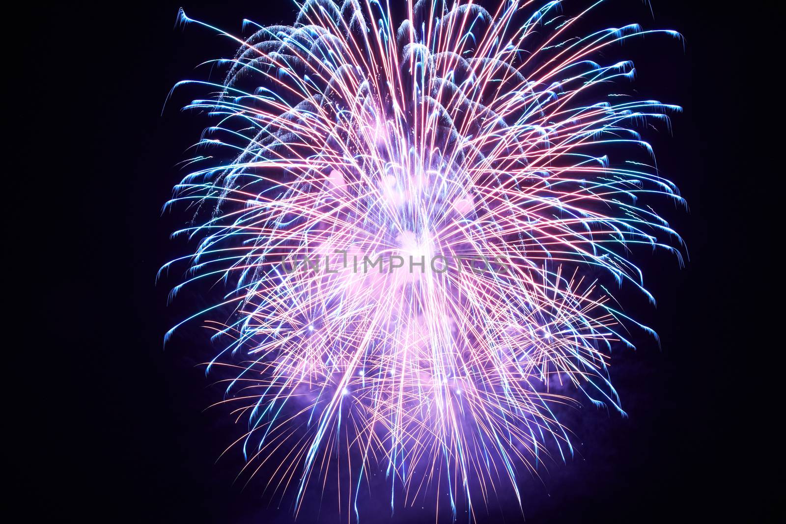 Blue colorful fireworks on the black sky background